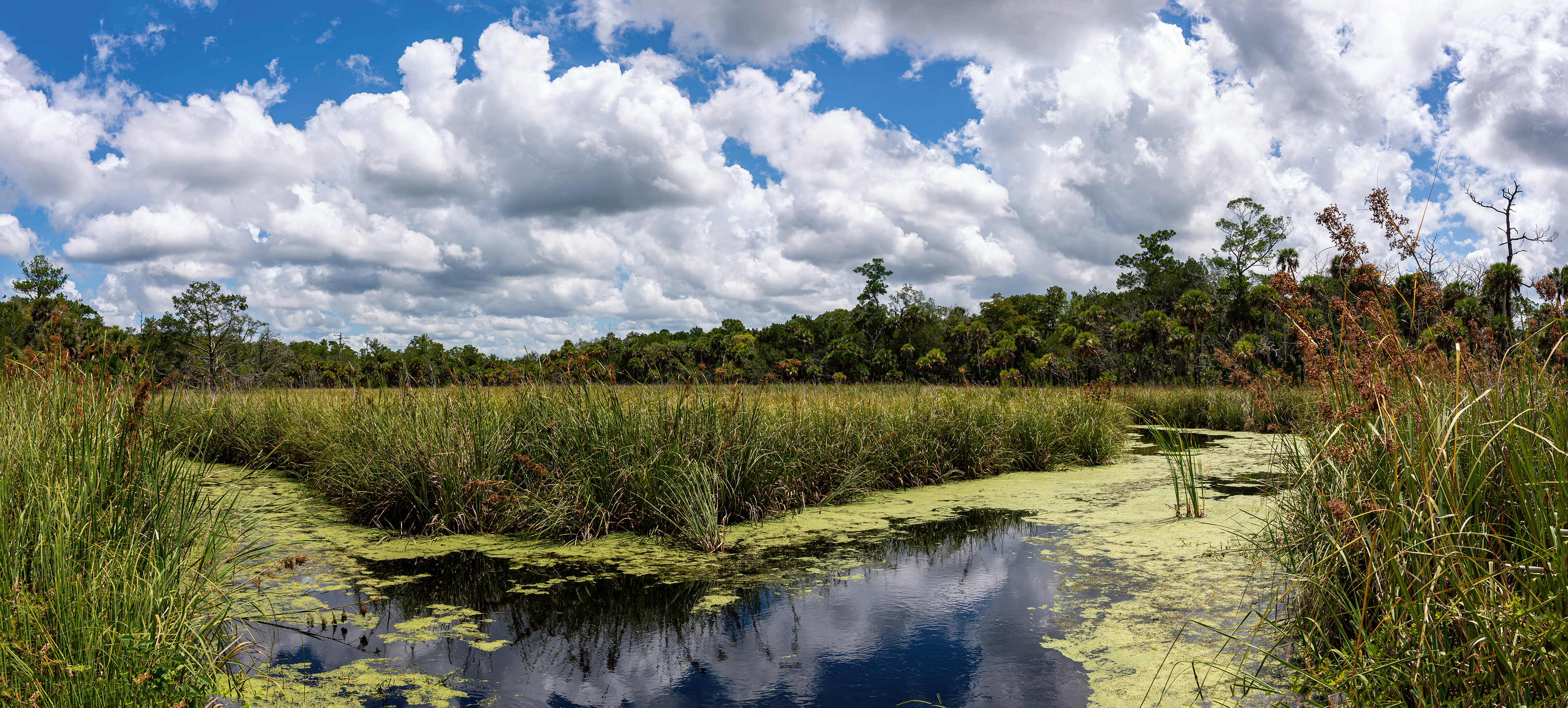 Barnett Creek Upstream Panorama