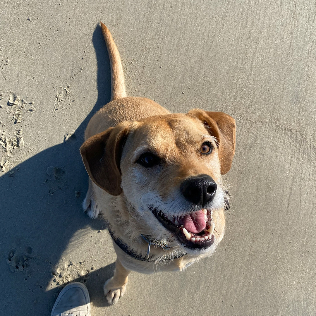 Nacho