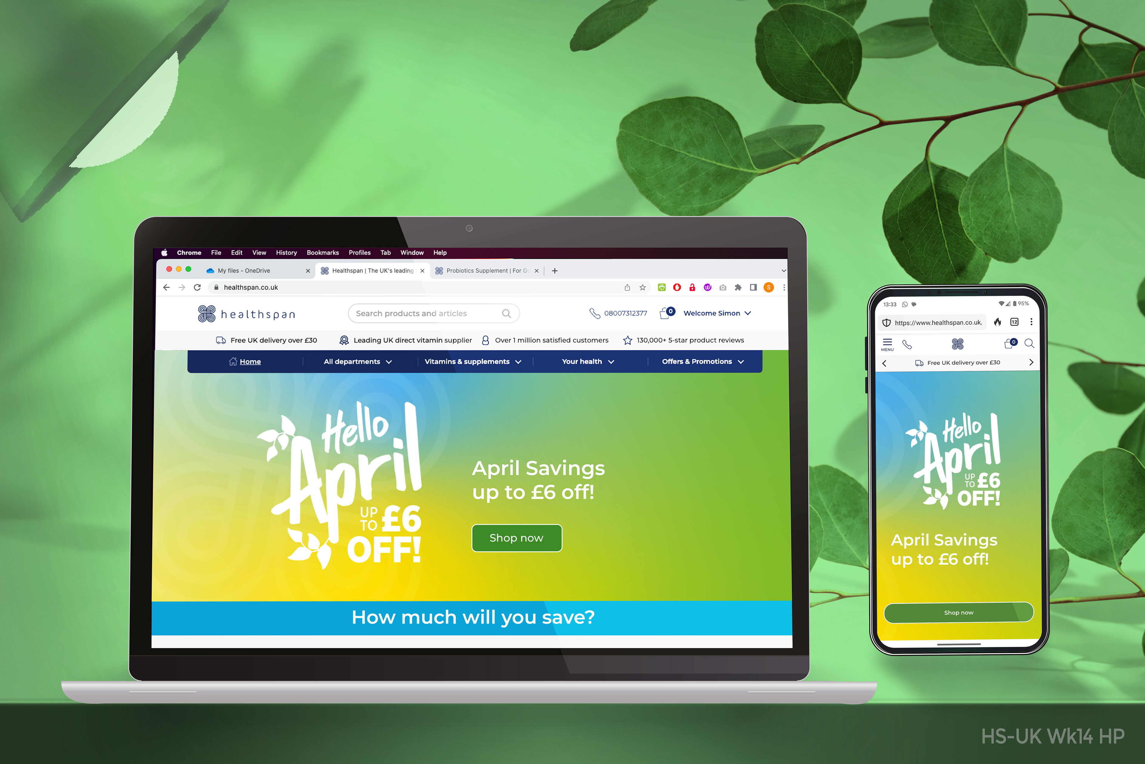 Web Design