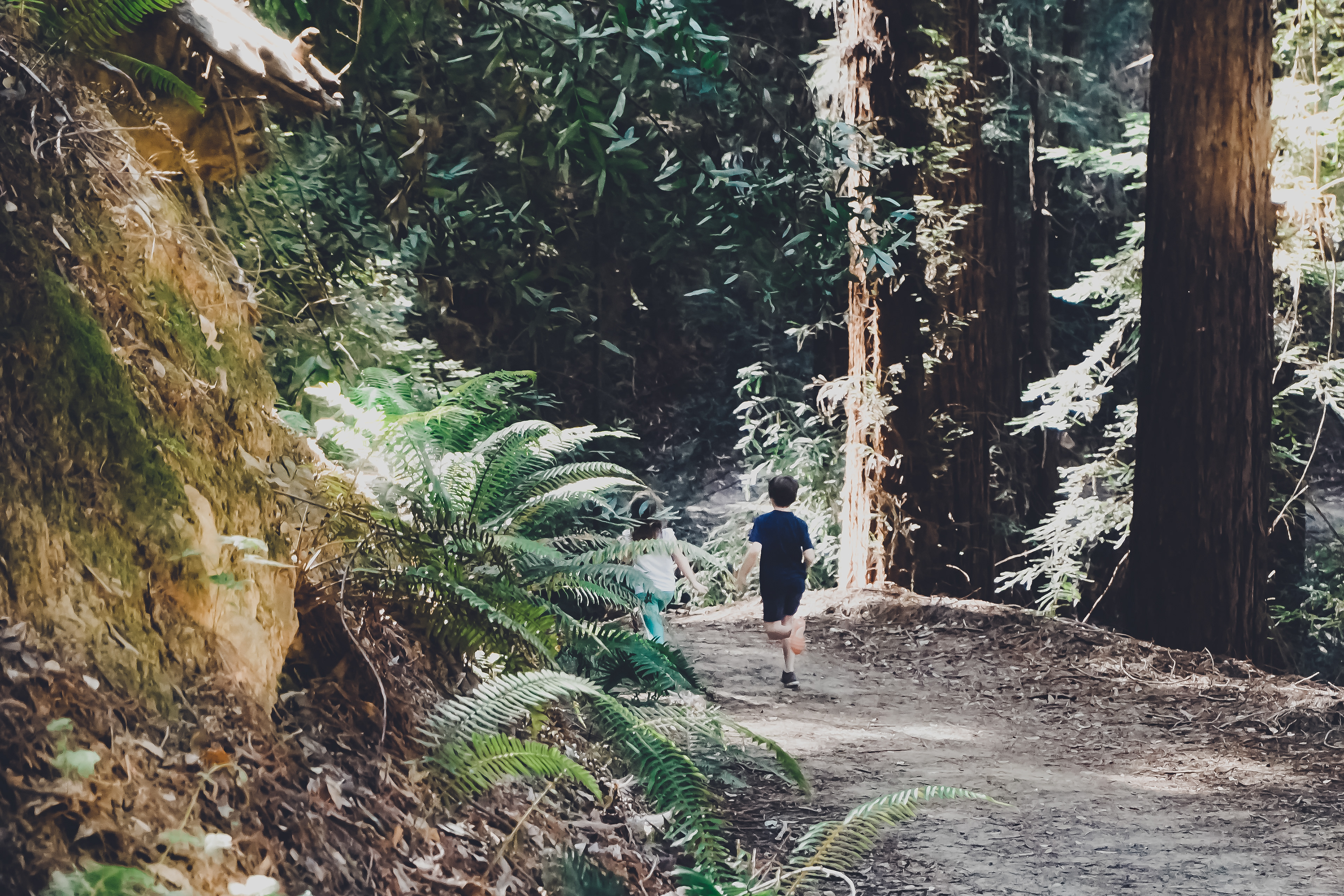 California : Woodside