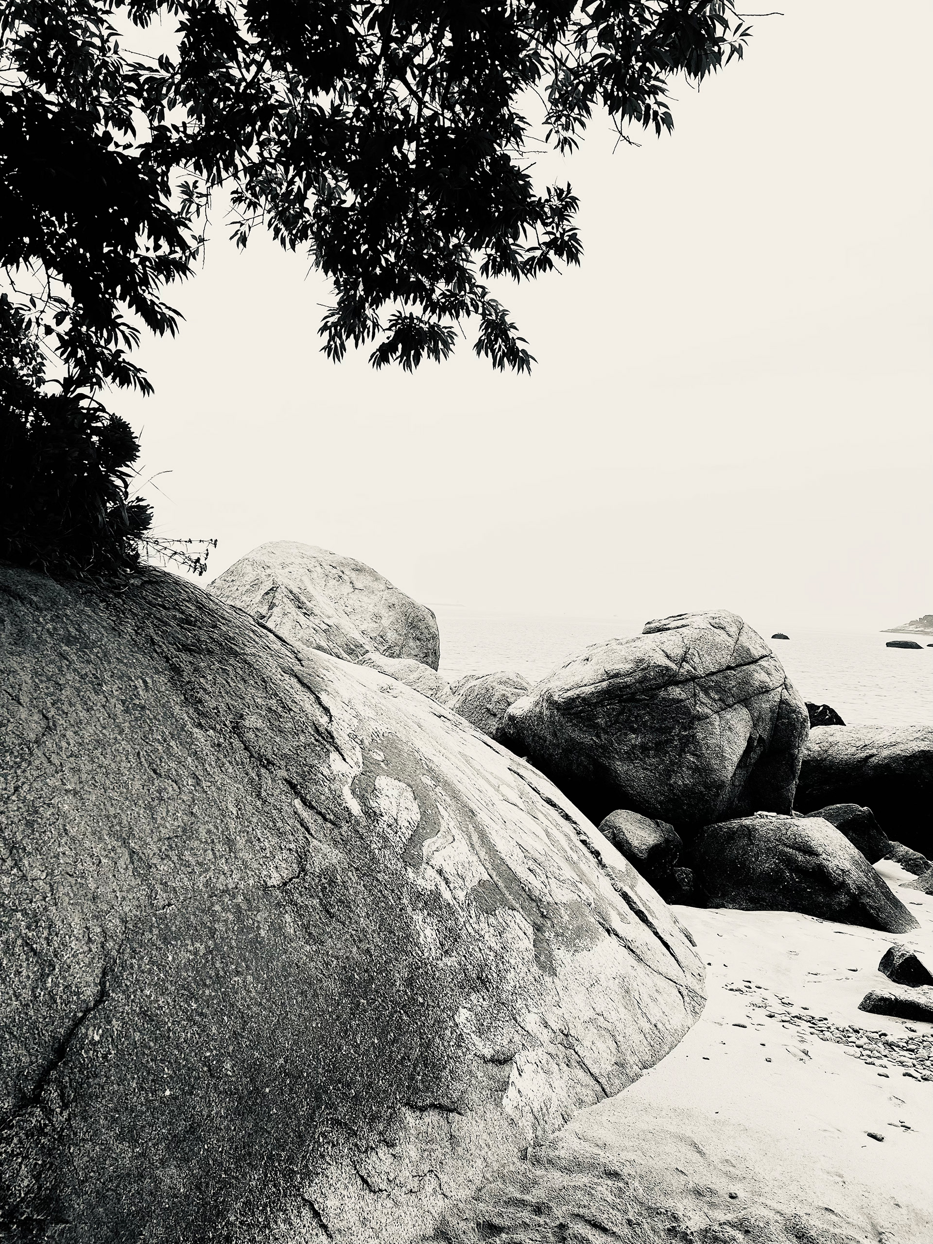 Dragon Rock at Cressy Beach Gloucester Ma.