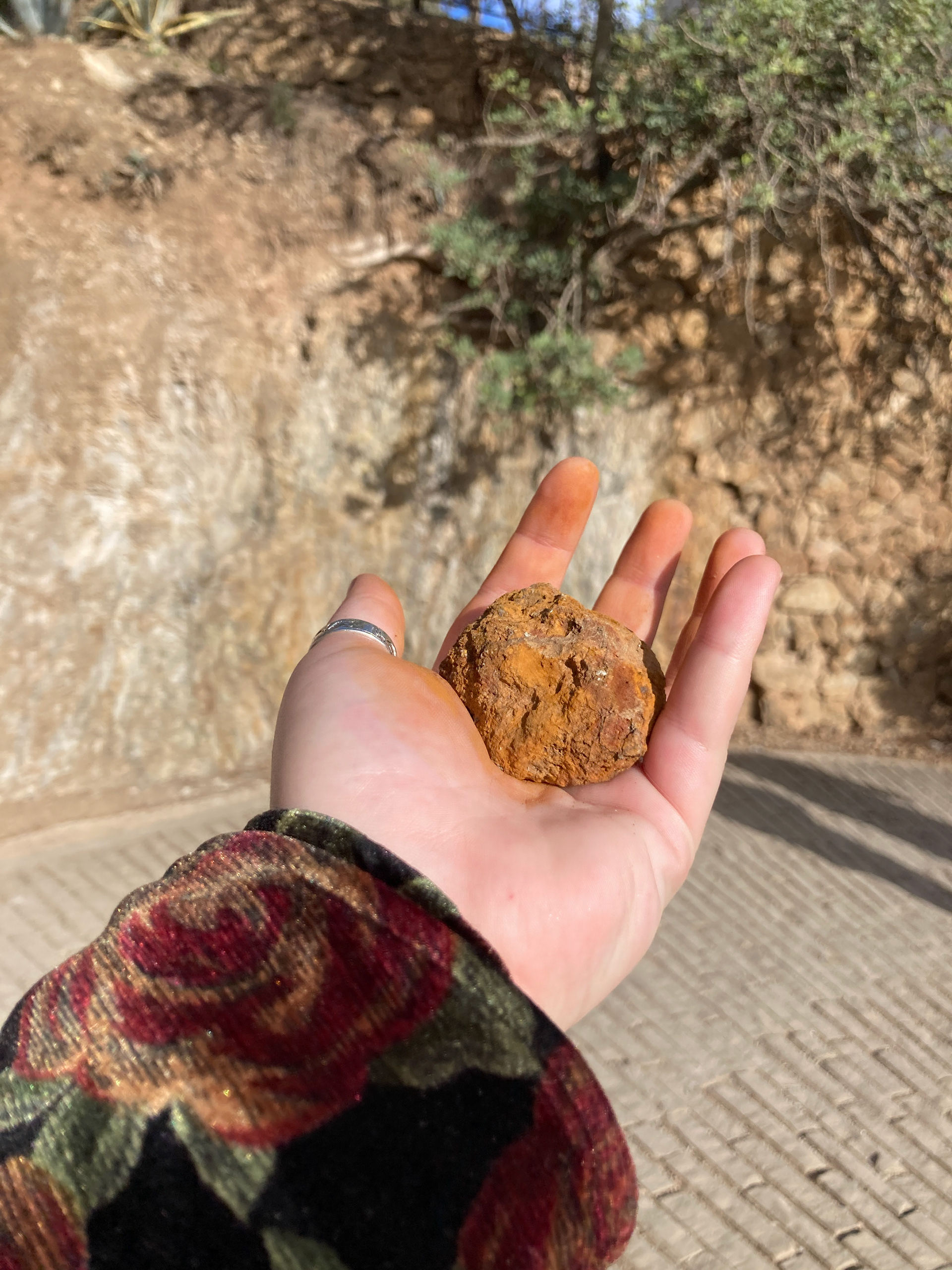 The best ochre I've found thus far, Park Güell, Barcelona (raw)