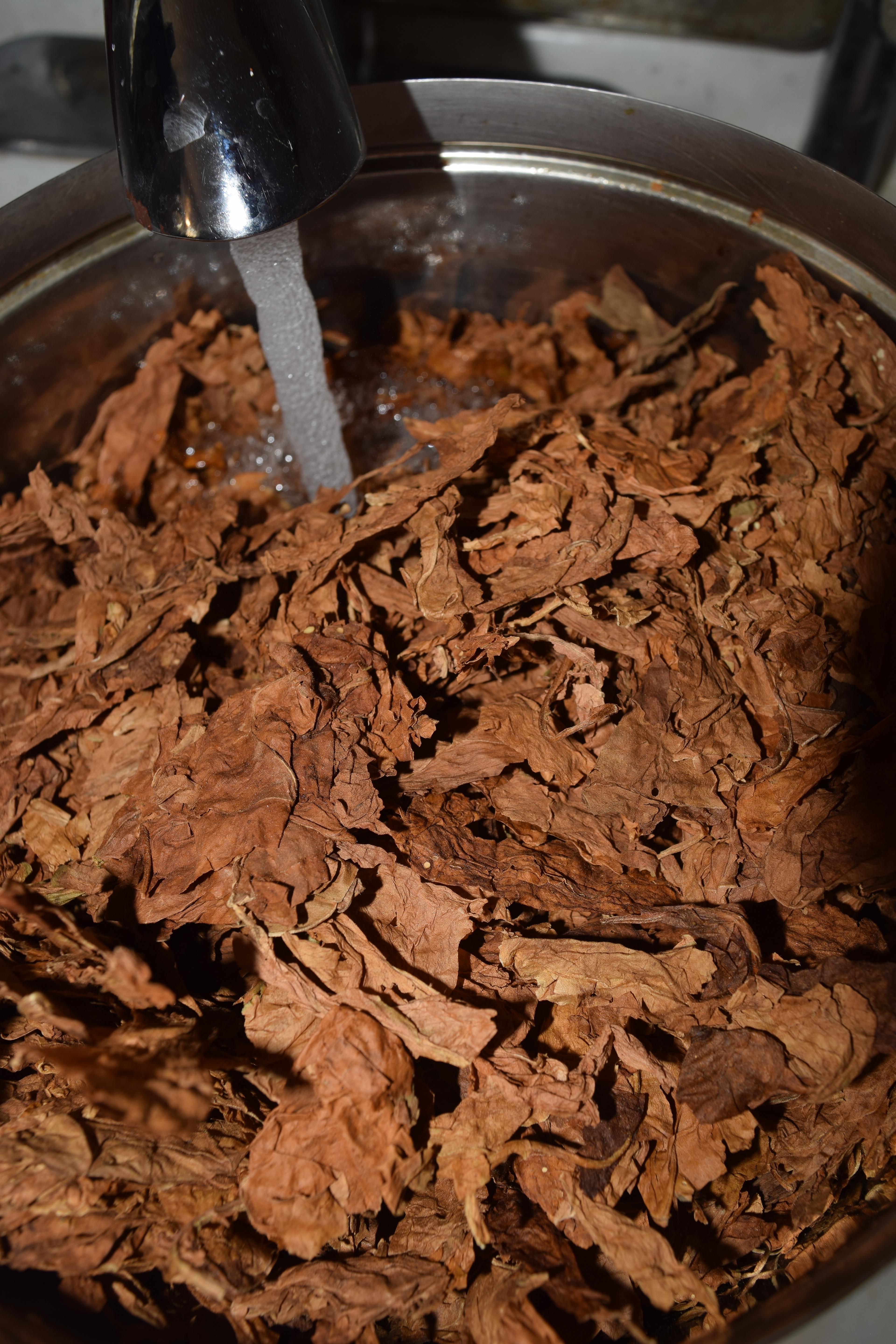 Glamour shot, raw leaves