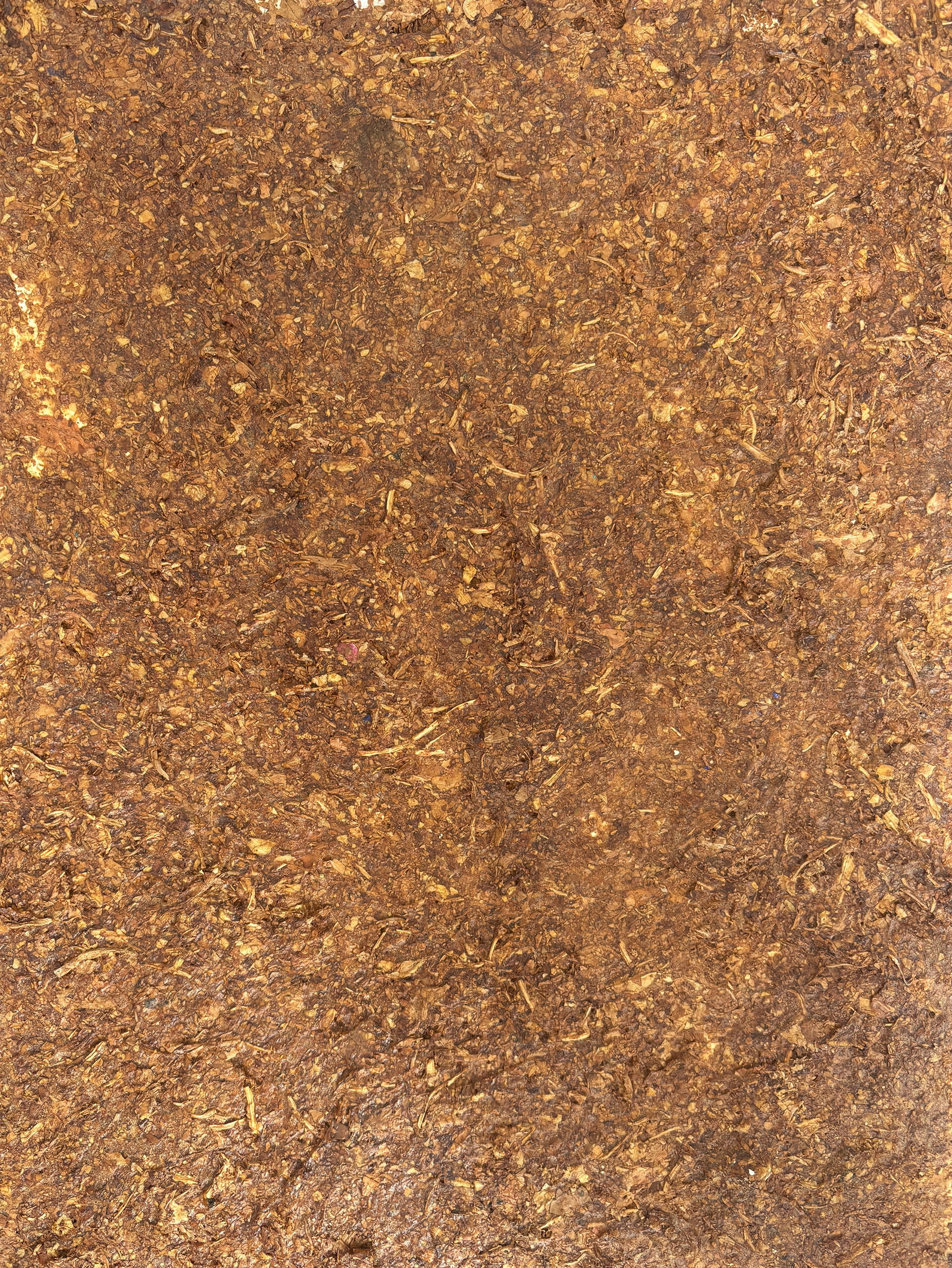 Ground tobacco and tylose on canvas panel