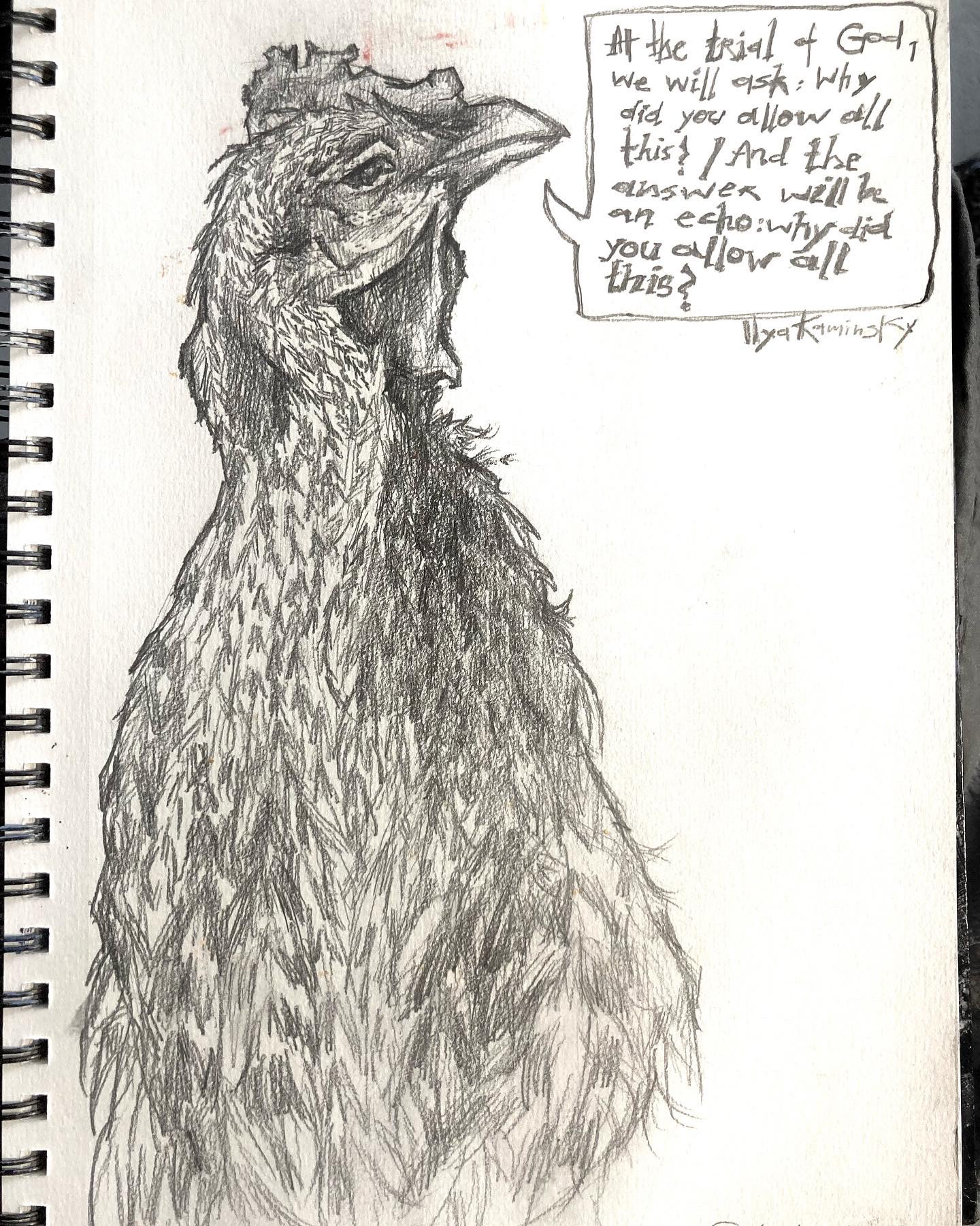 Taxidermy chicken head with non-dominant hand, graphite on paper