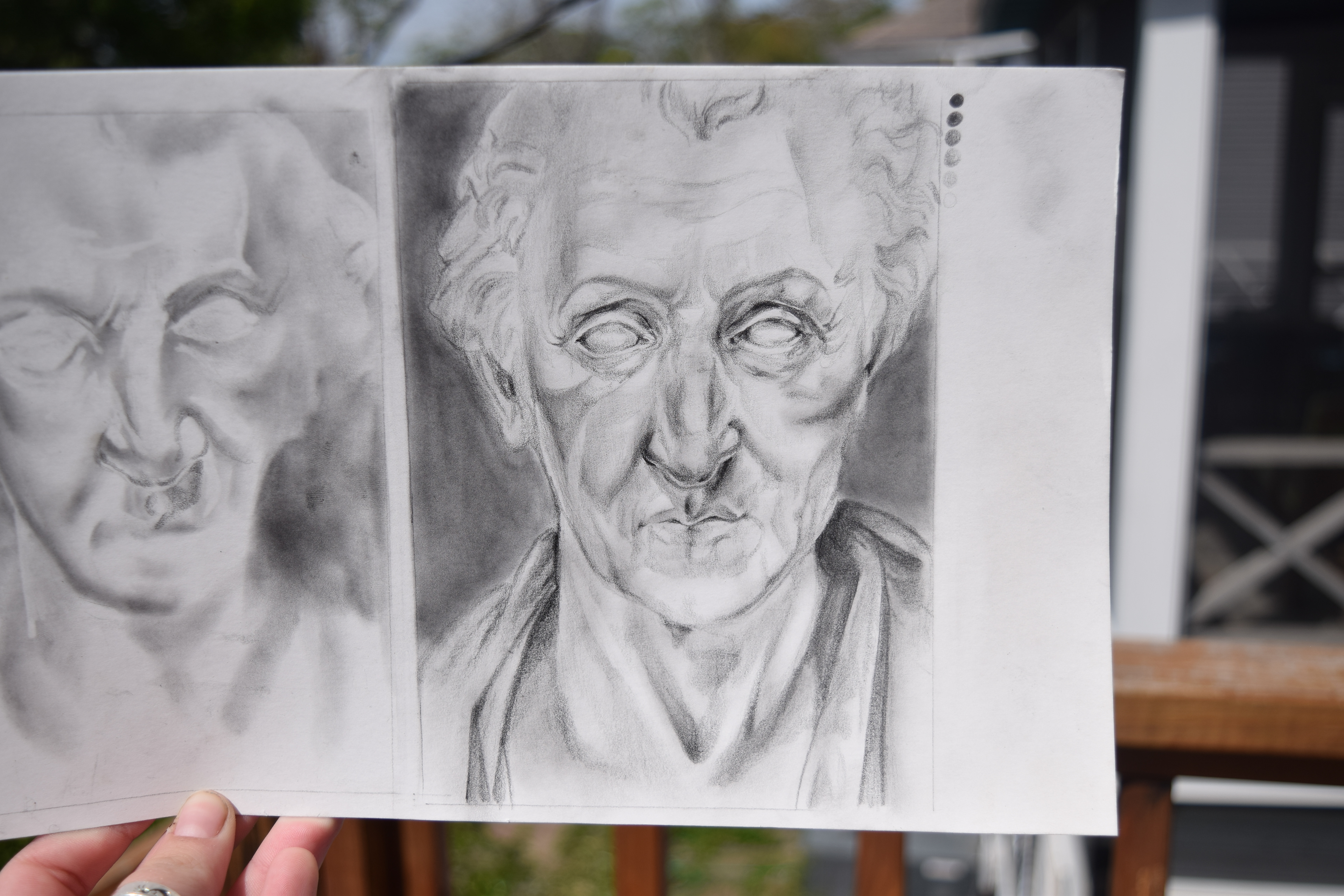 Study of "Bust of a Man", graphite on bristol