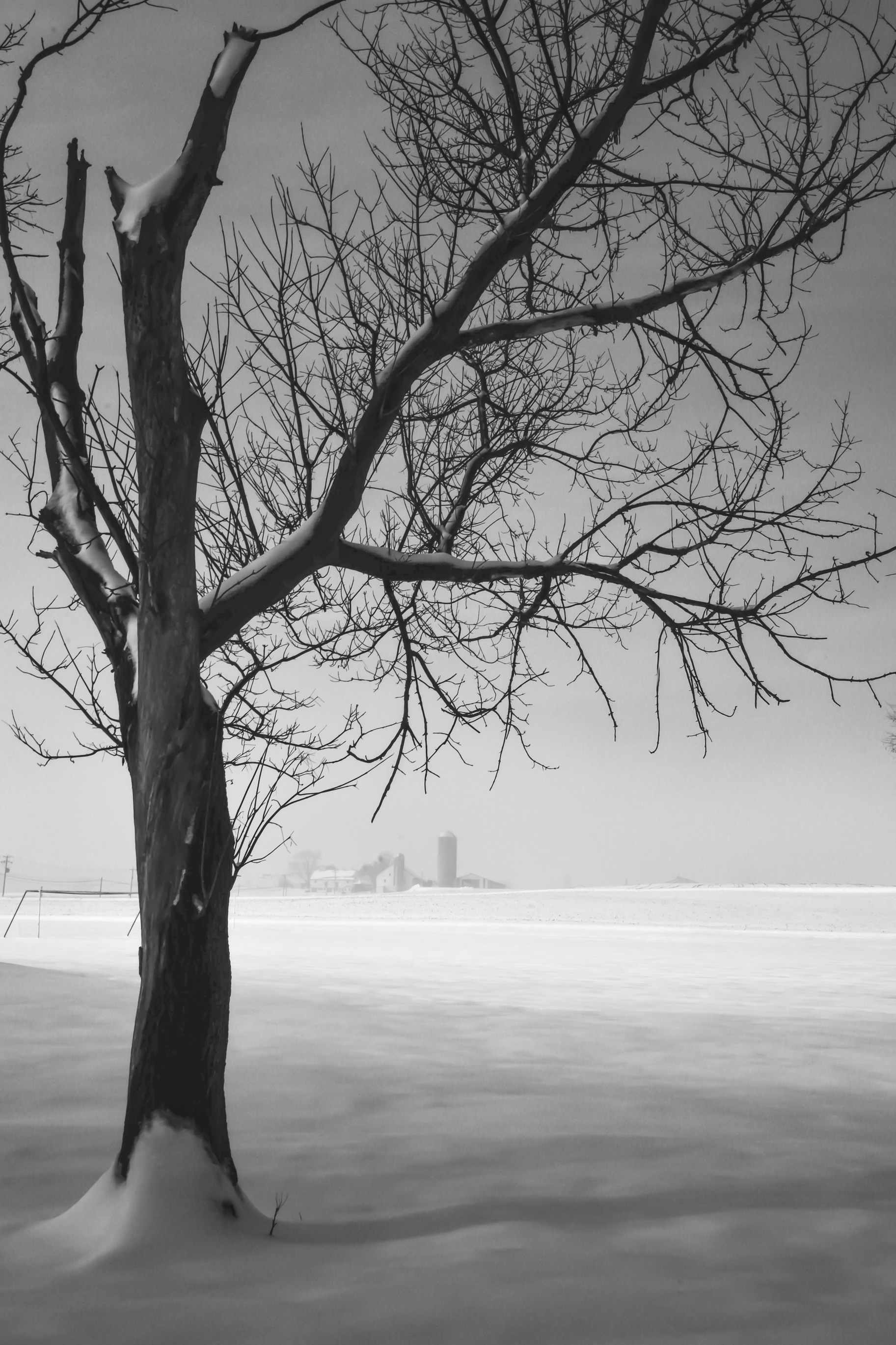 Winter Farmland