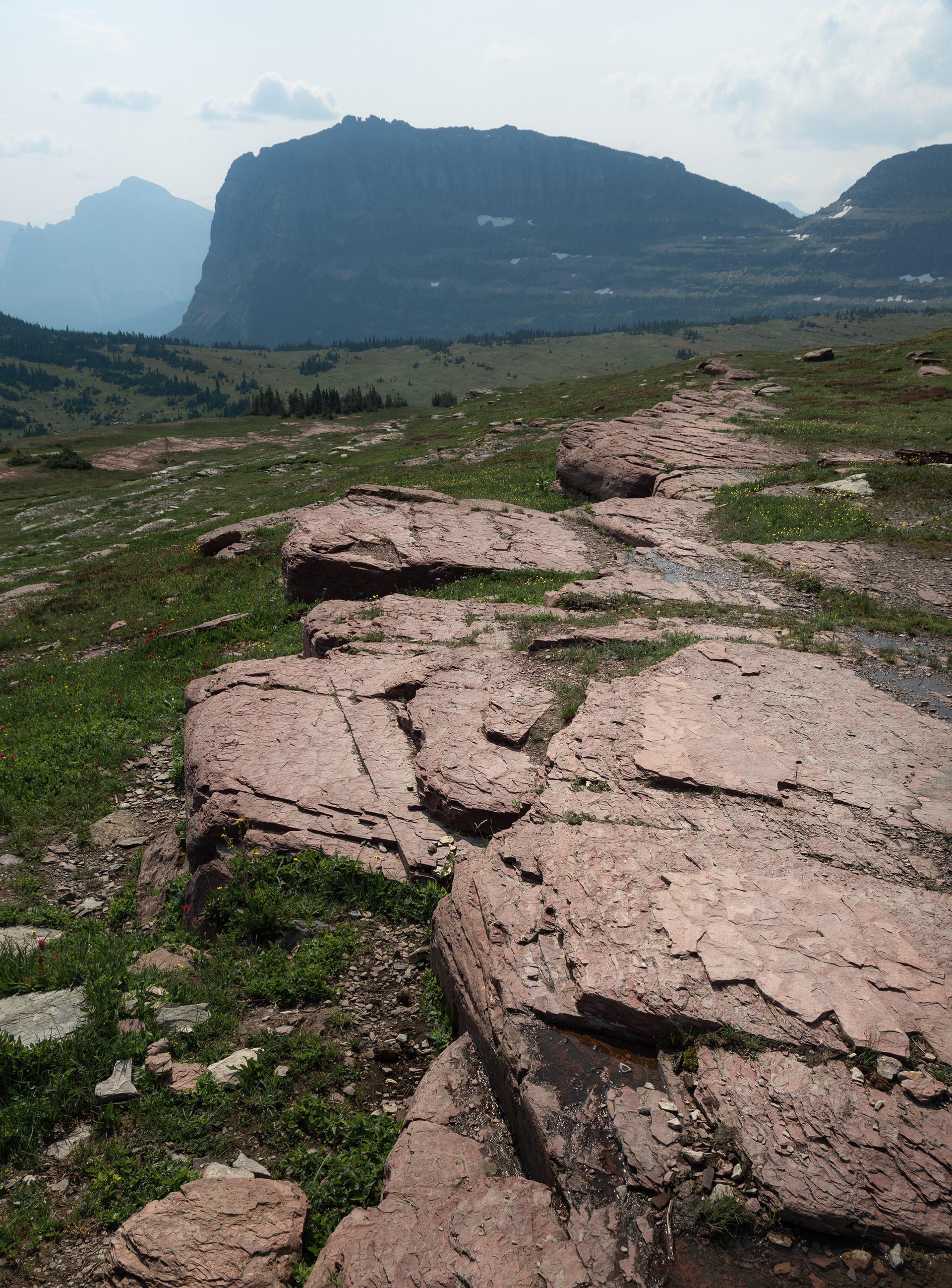 Glacier National Park (Logan Pass)