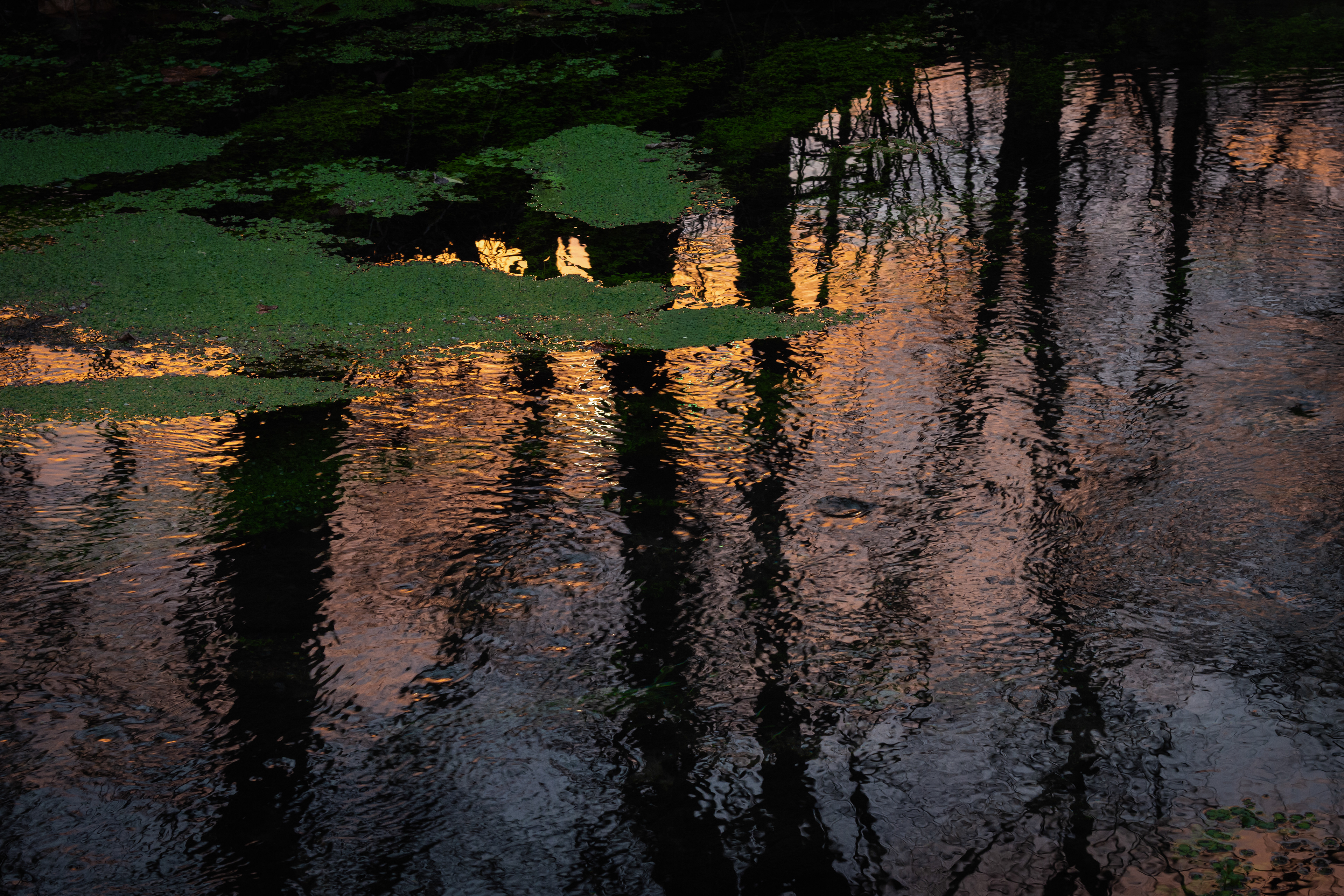 Gem in the Stream