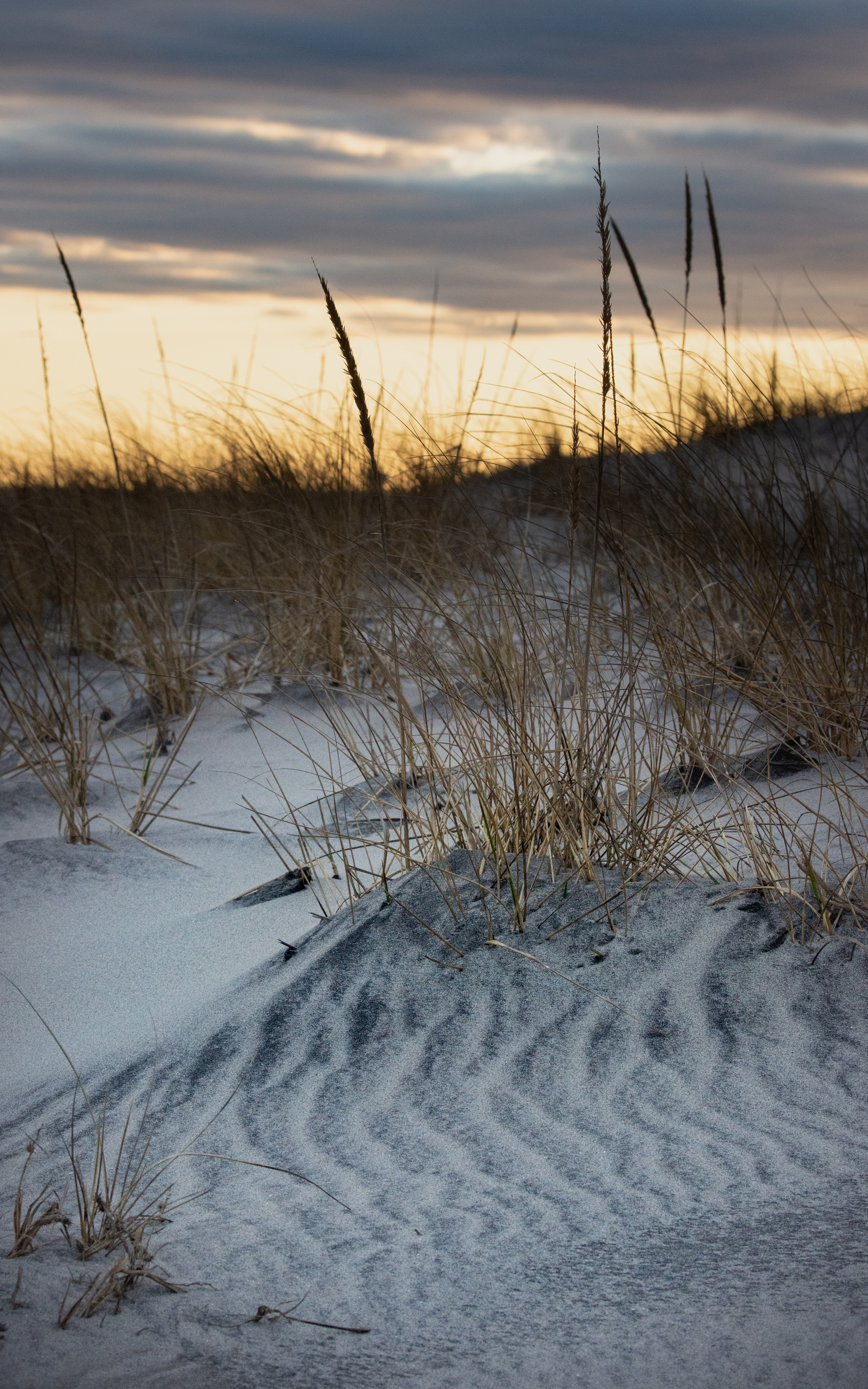 Dunes, Ocean City, NJ