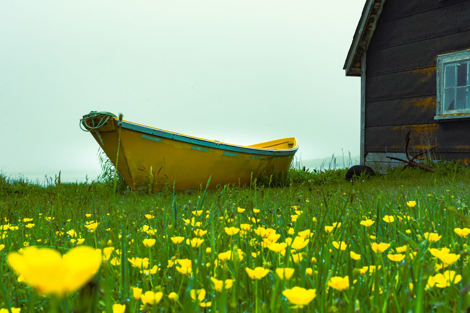 Yellow Boat, Yarmouth, Canada