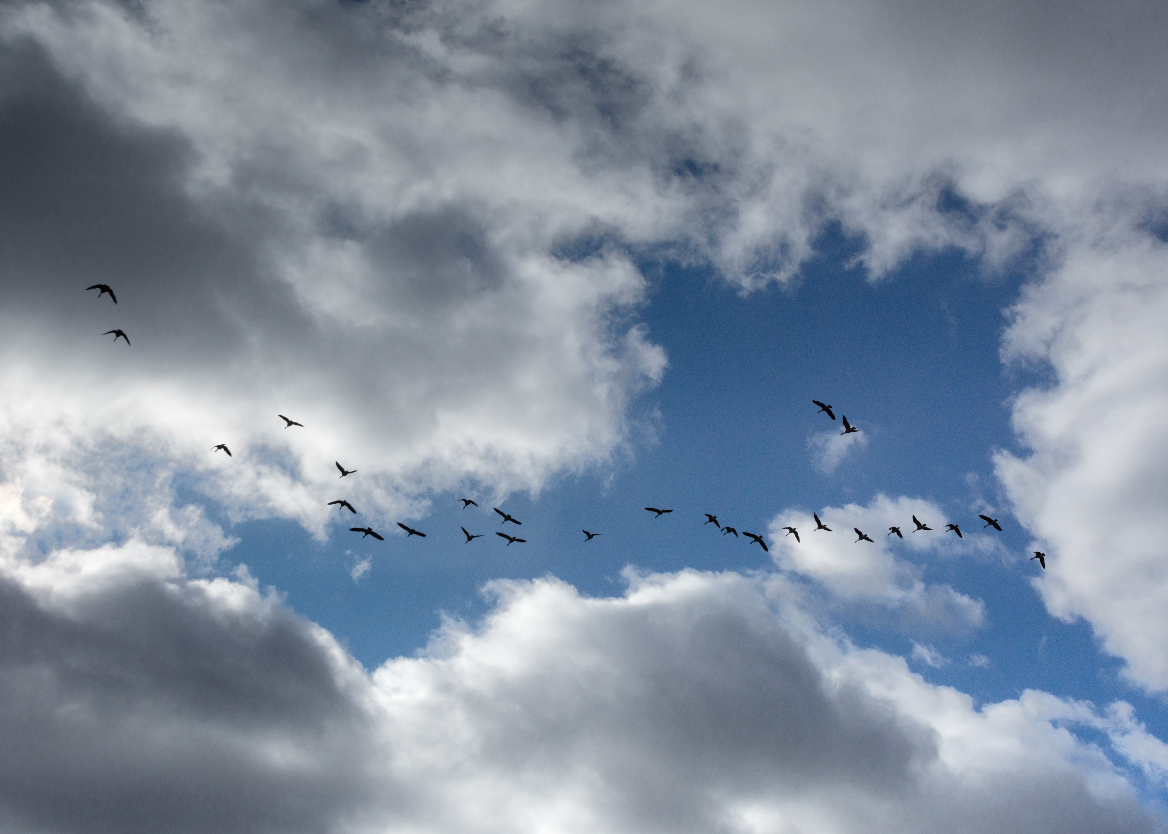 Heaven Bound - Harrisburg, PA 12-30-2025