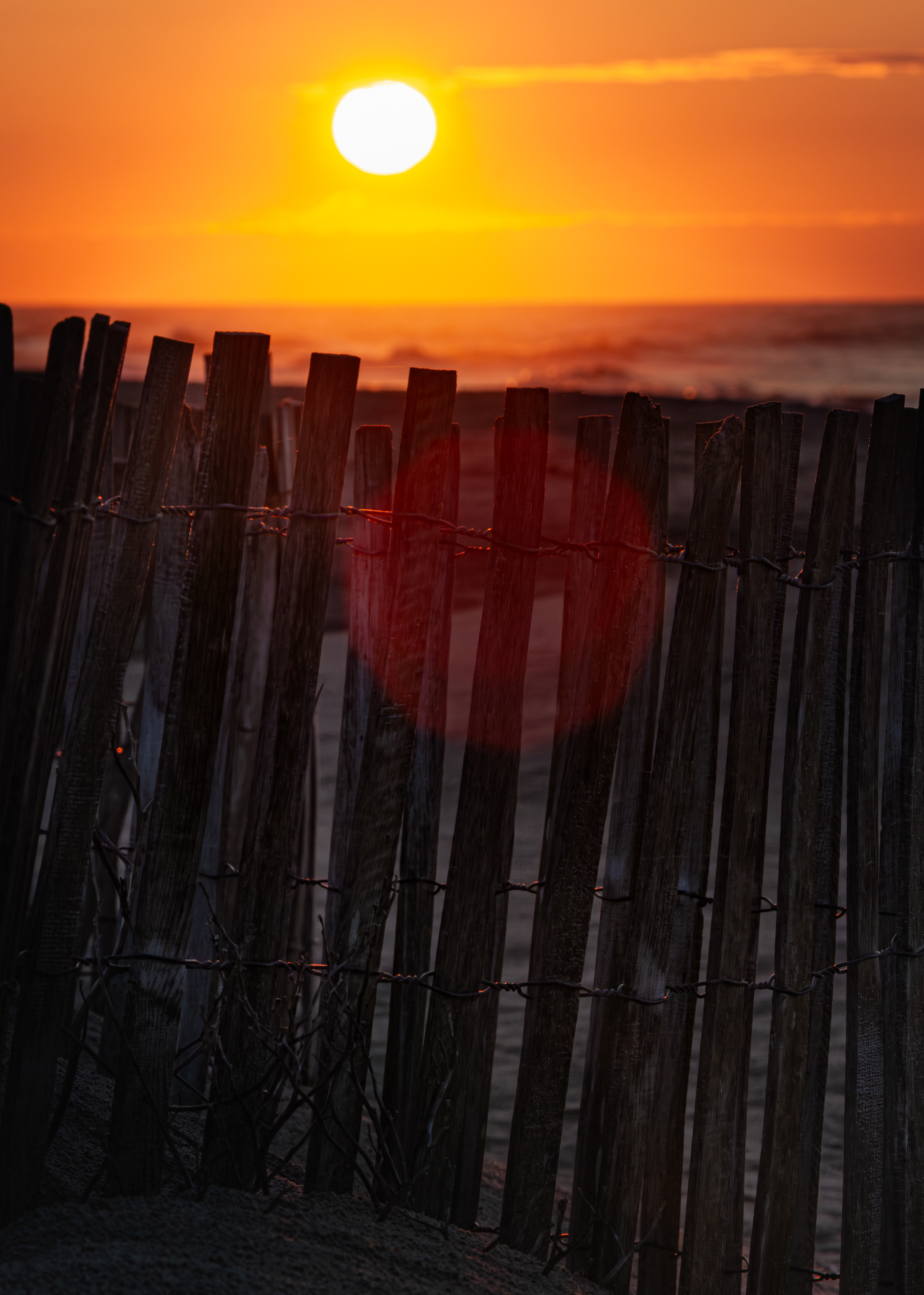 Coastal Morning, Ocean City, NJ