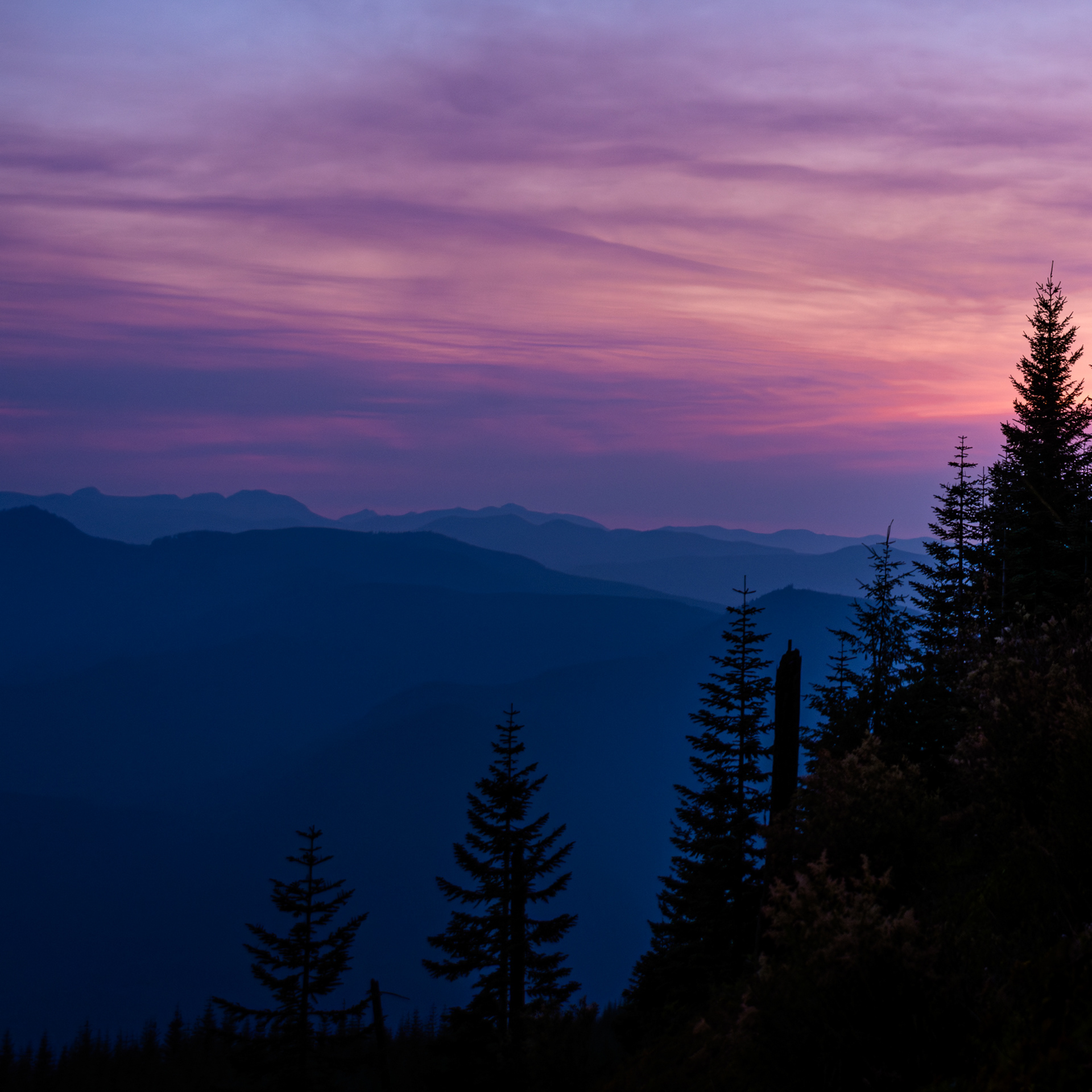 Backcountry Sunset - Mount Rainier National Park 