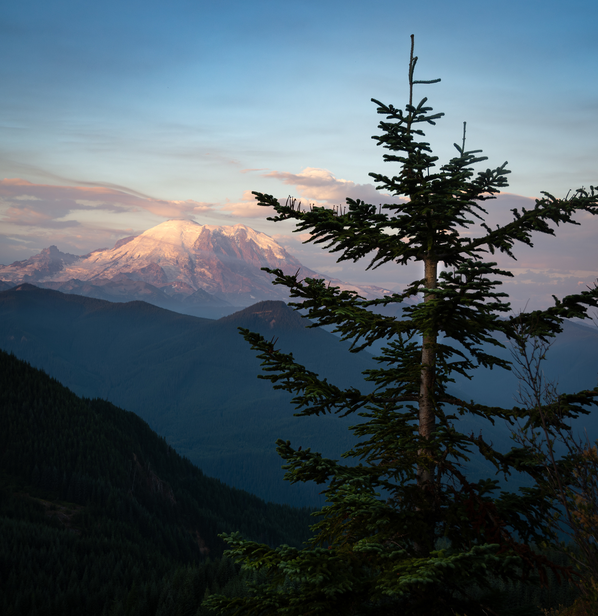 Mount Rainier, WA
