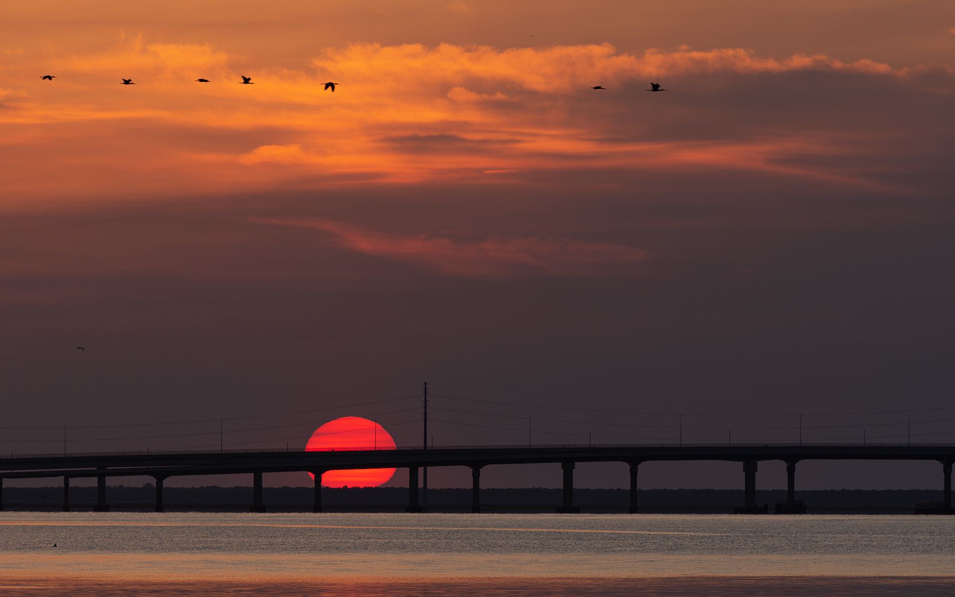 Ocean City, NJ