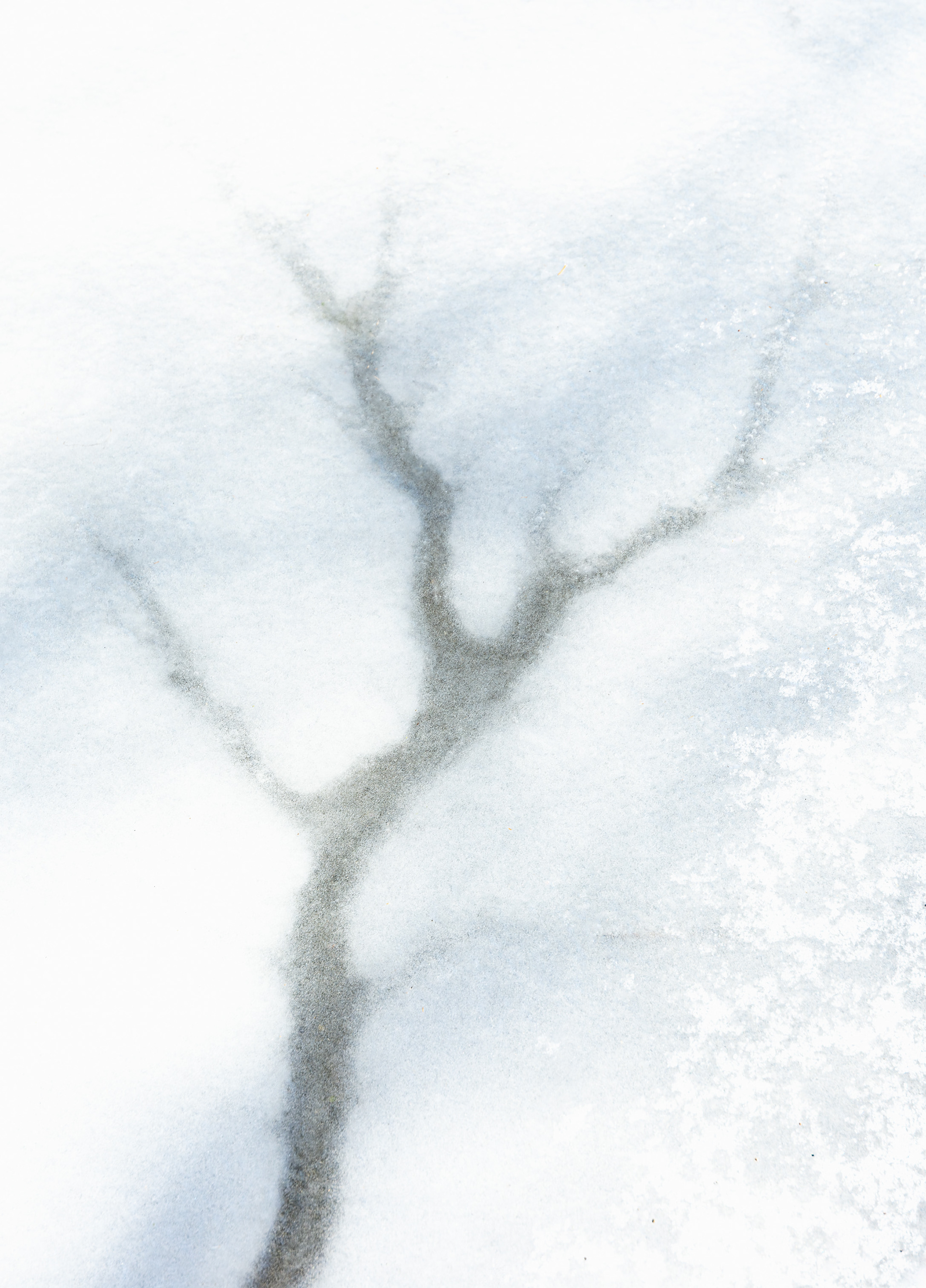Surface Ice