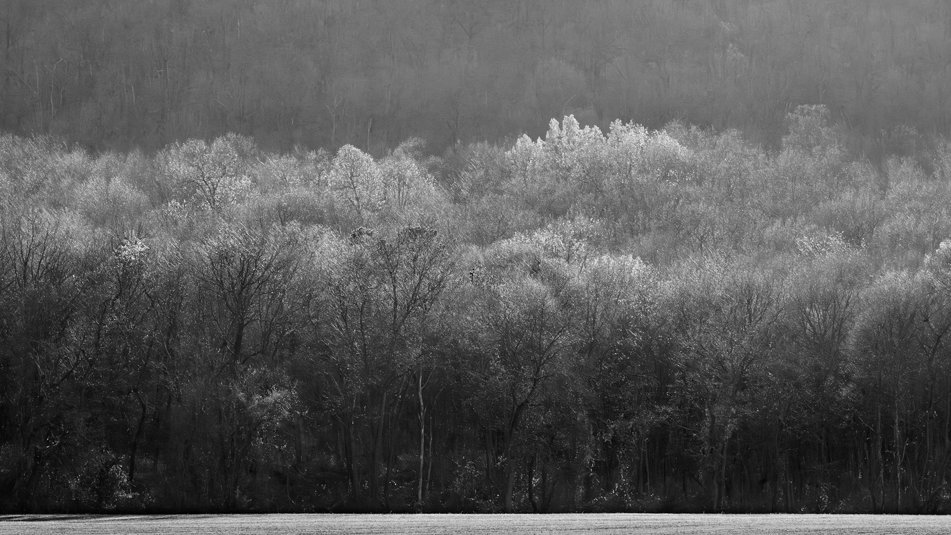 Light Fall, Cumberland County, PA