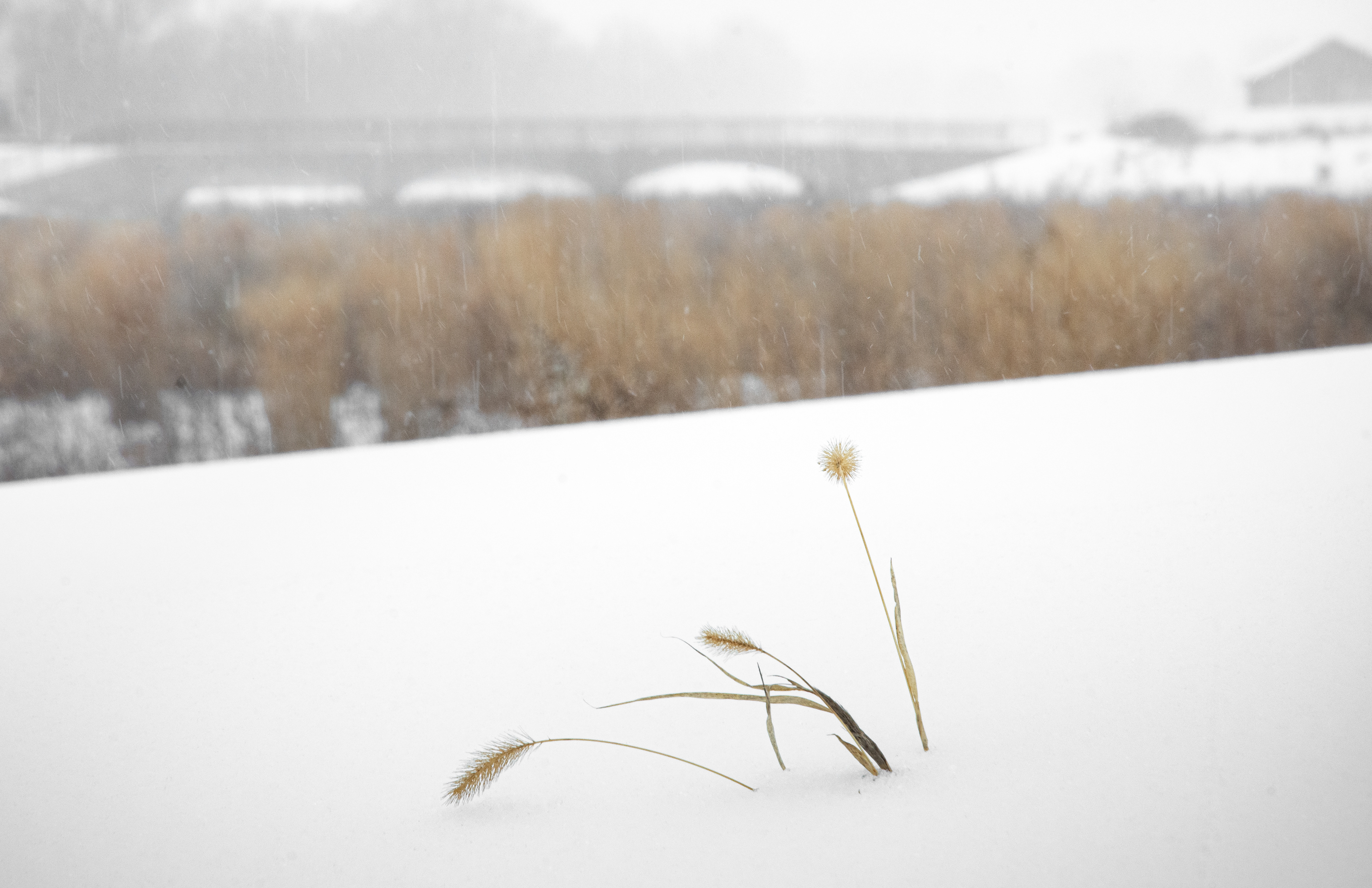 Life Beyond 1-25-2026