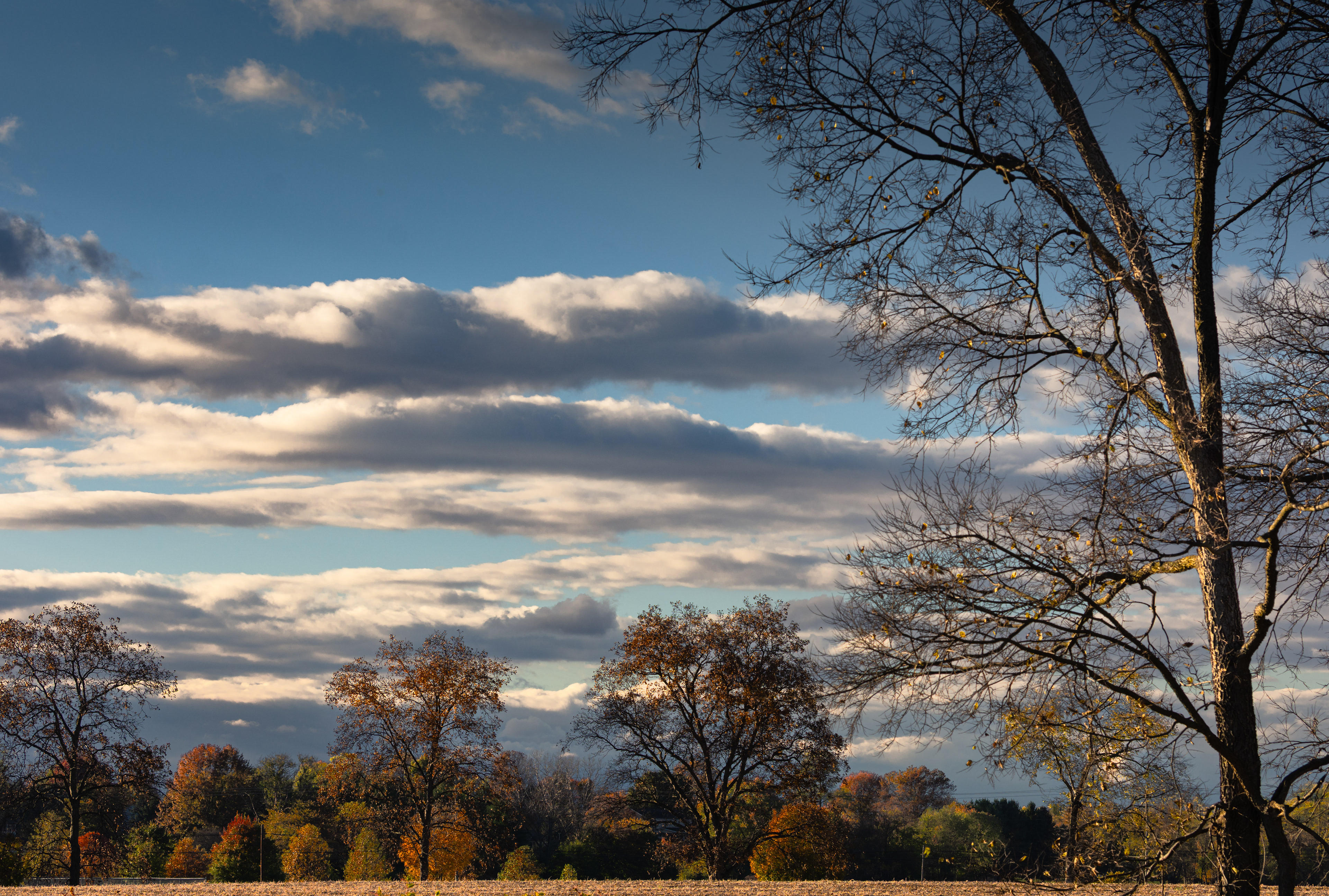 Fall - Cumberland County, PA - Oct. 24, 2025