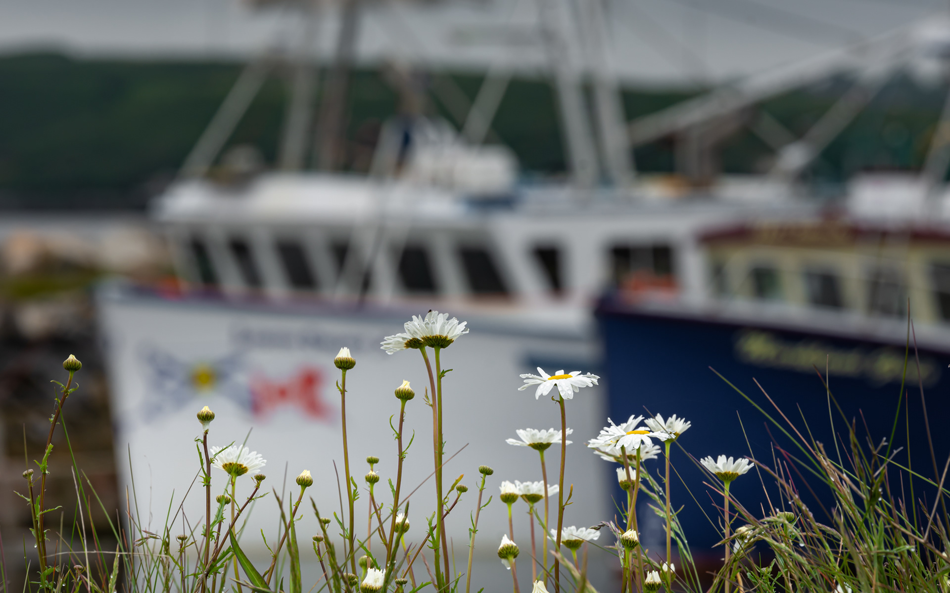 Fishing Fleet, Nova Scotia