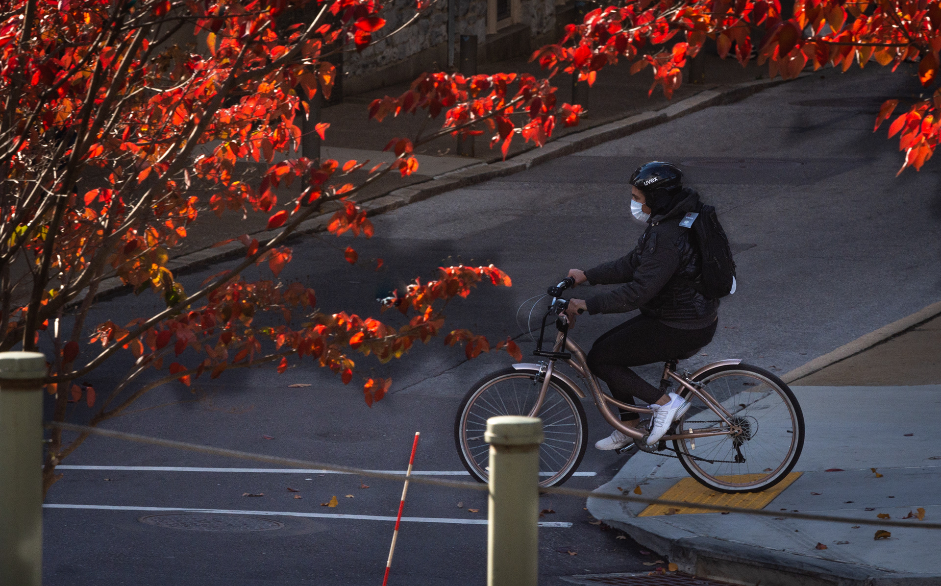 COVID Cyclist