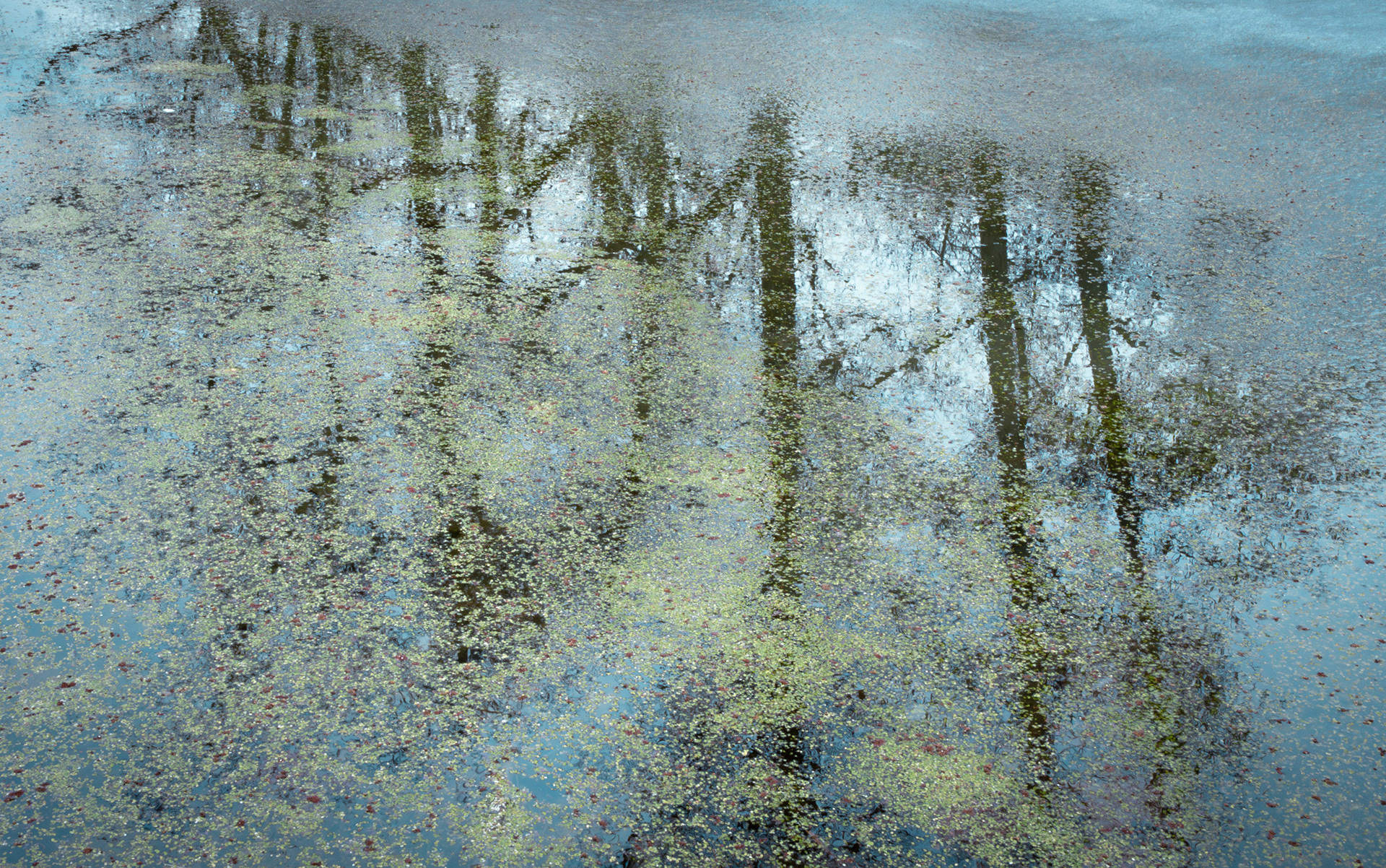 Frozen Pond