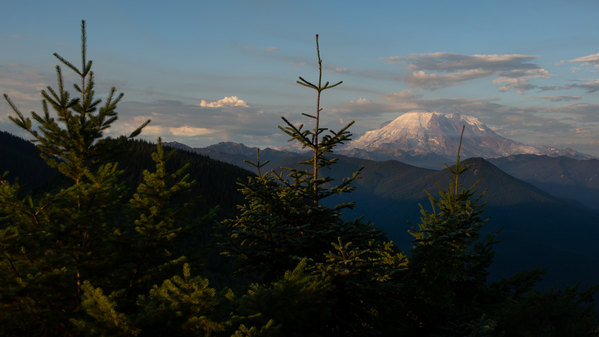Mount Rainier, WA