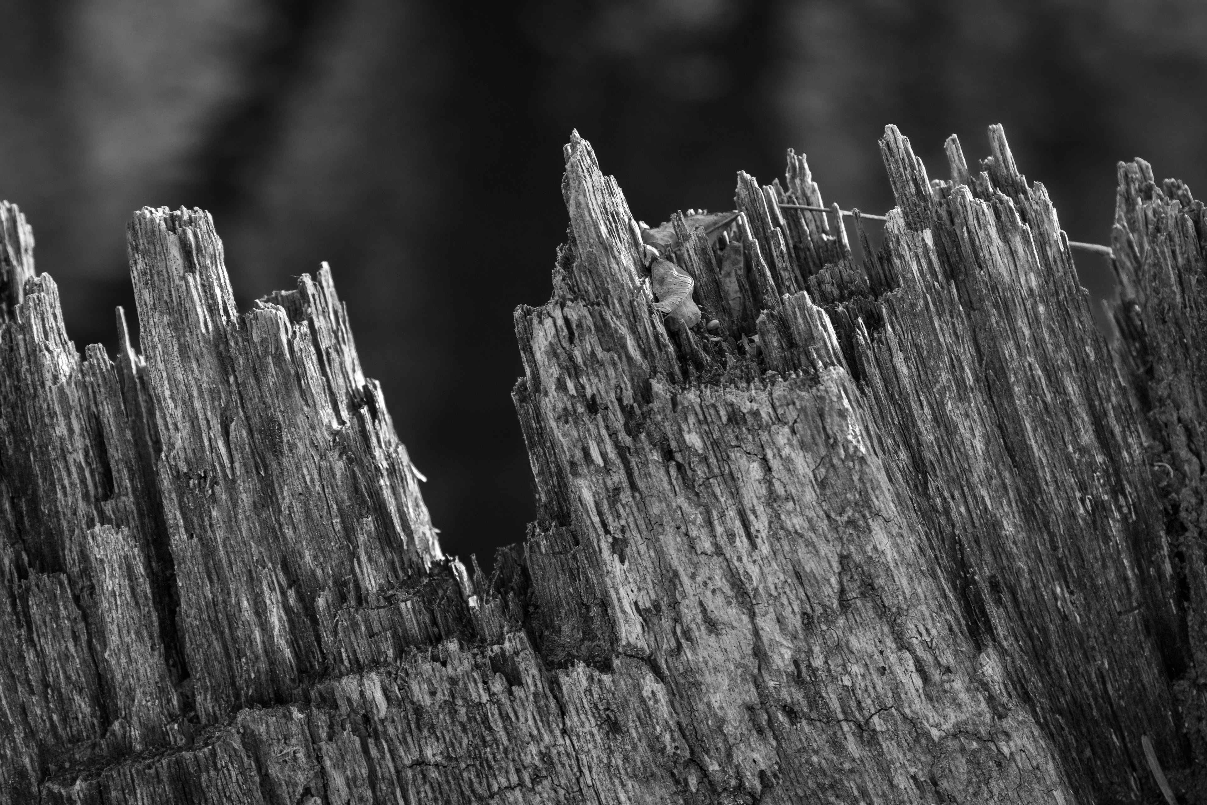 Cliff Face