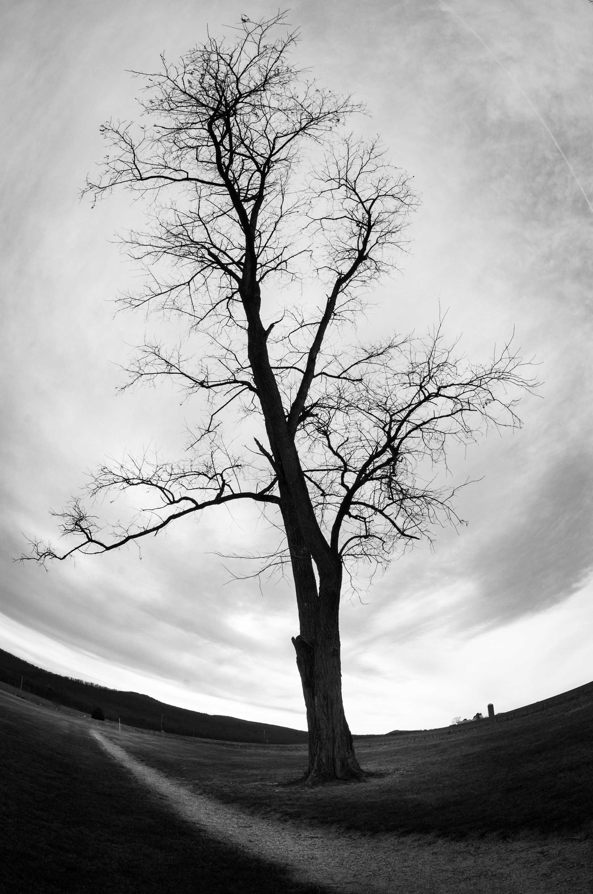 Pathway to the Sky