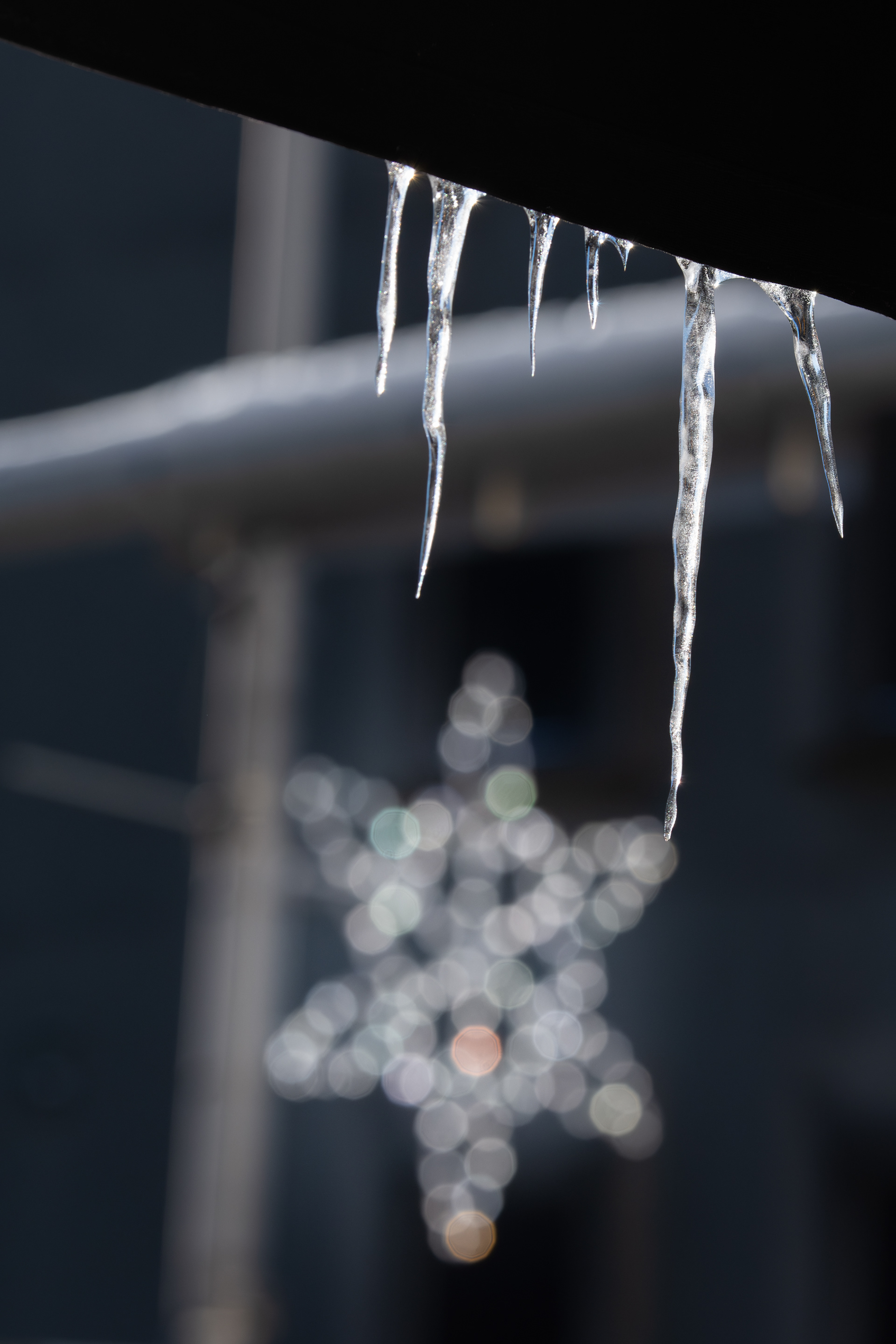 Arctic Blast 2025