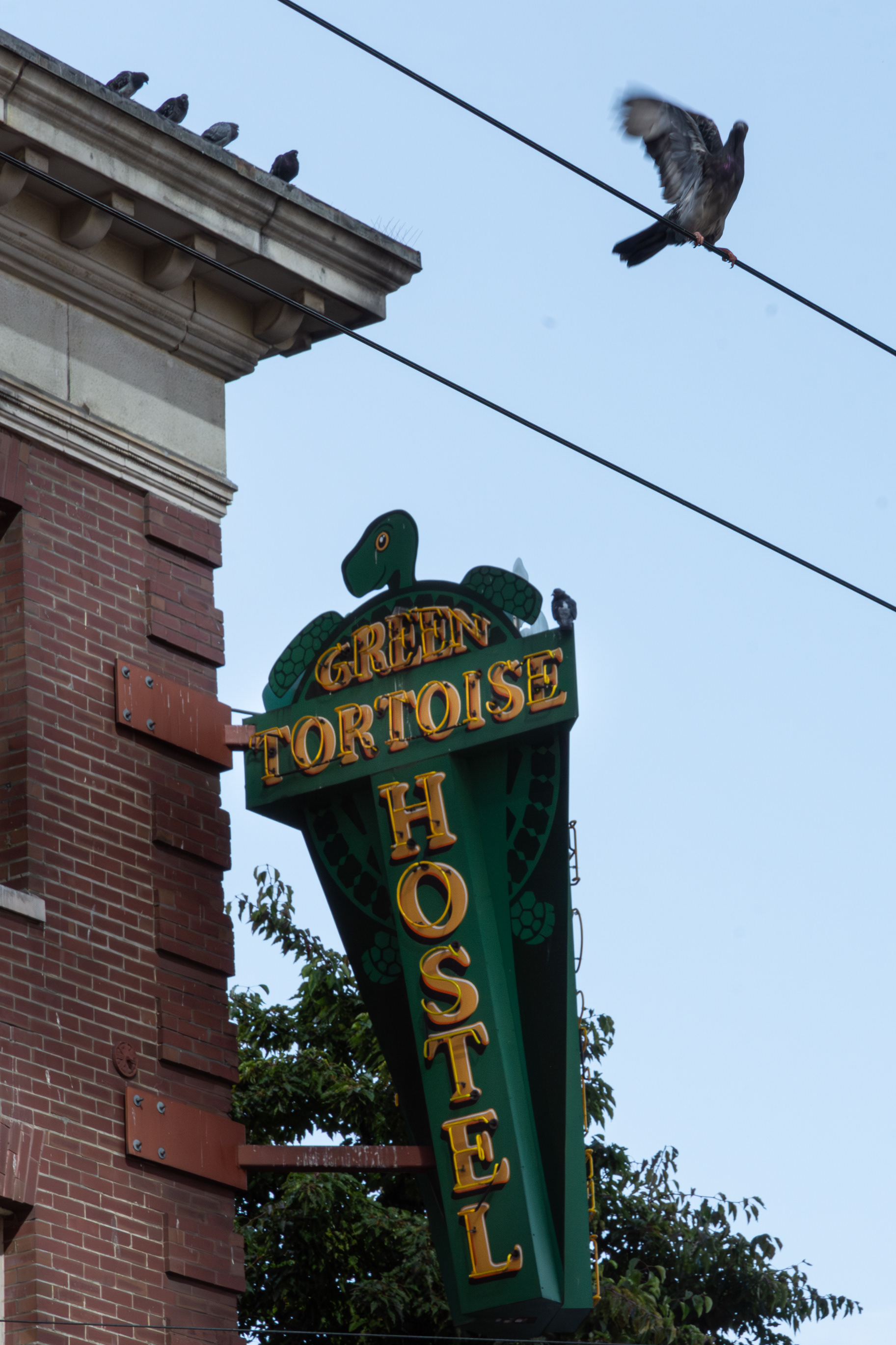 Hostel, Seattle, WA