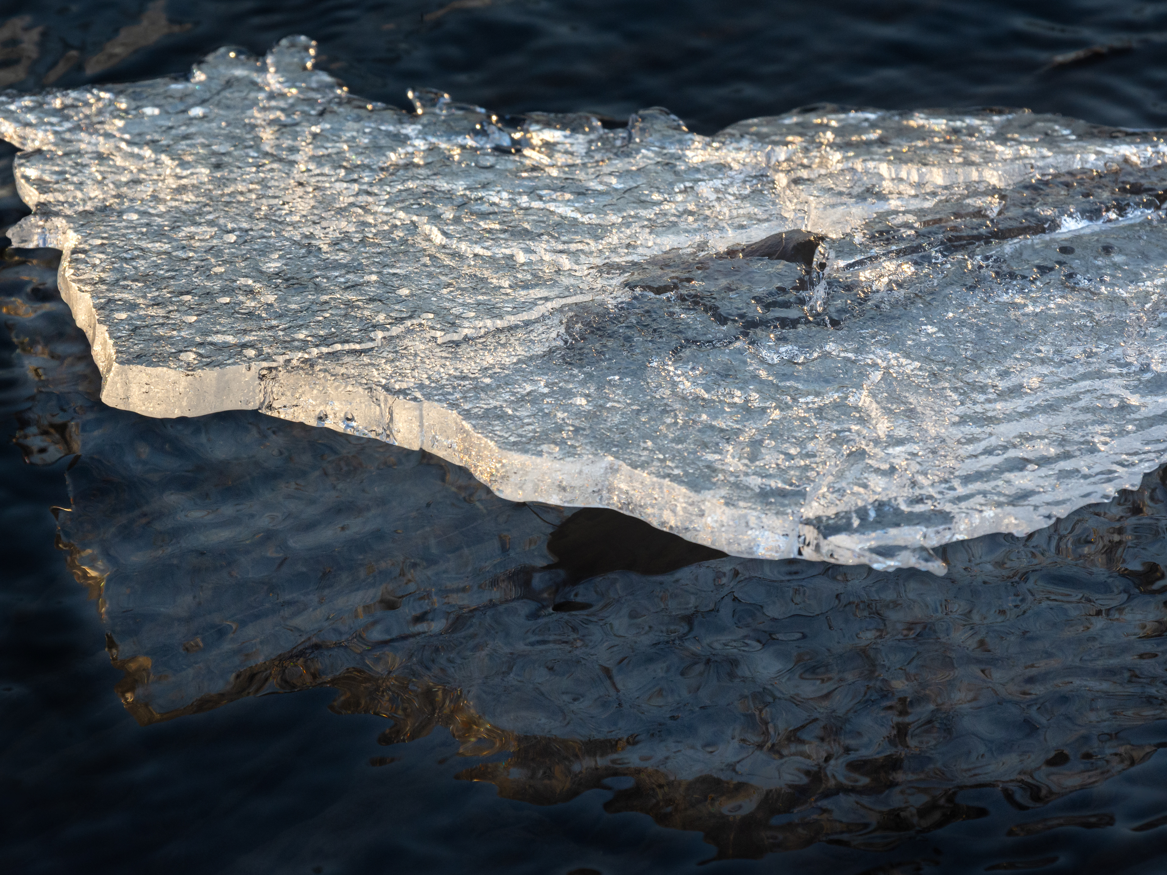 Ice Plate