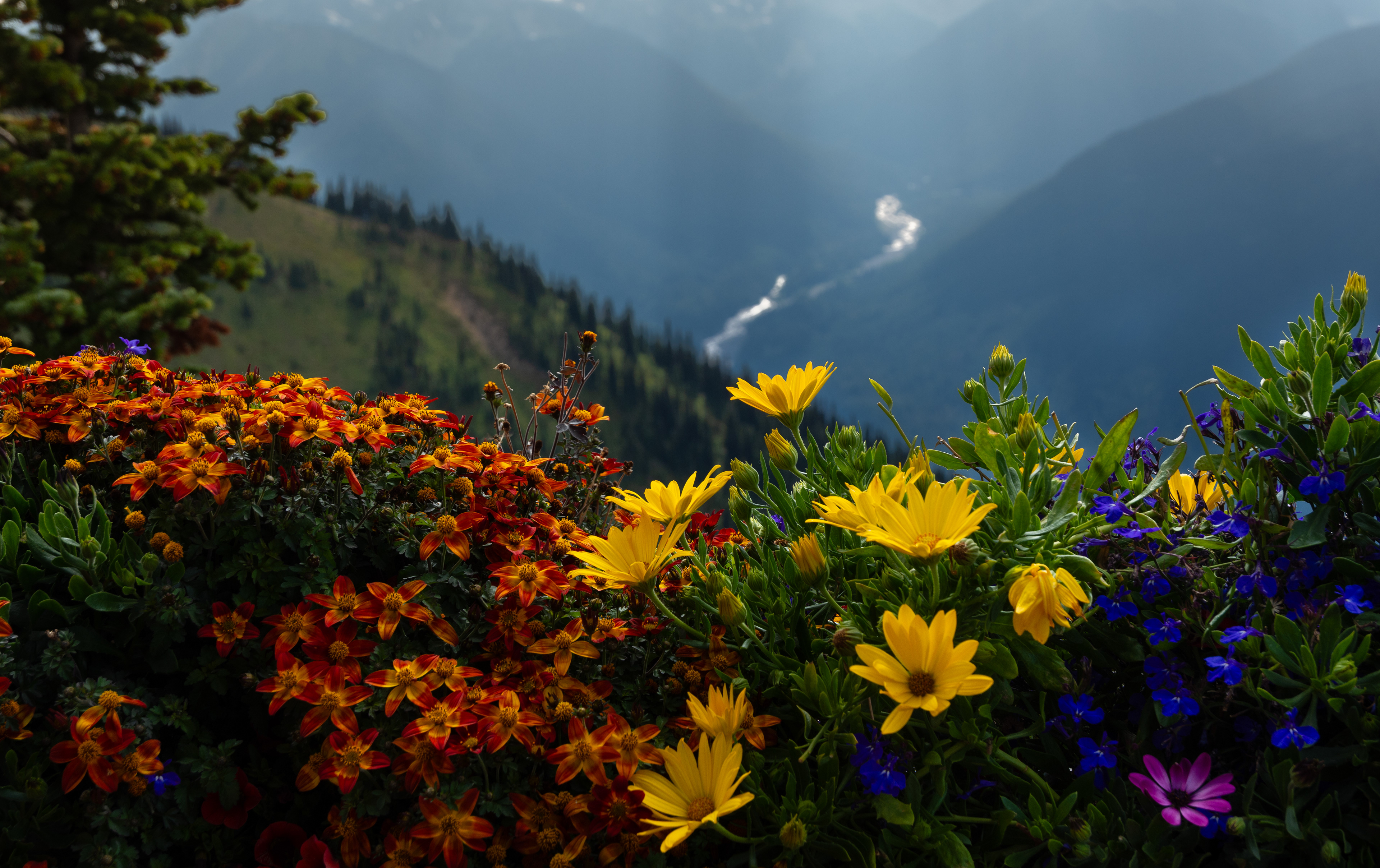 Crystal - View from Crystal Mountain Resort, WA