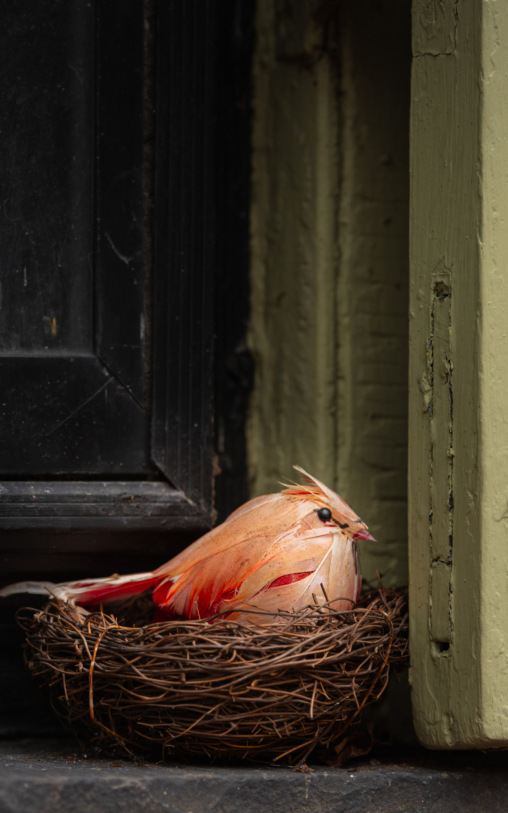 Street Nesting