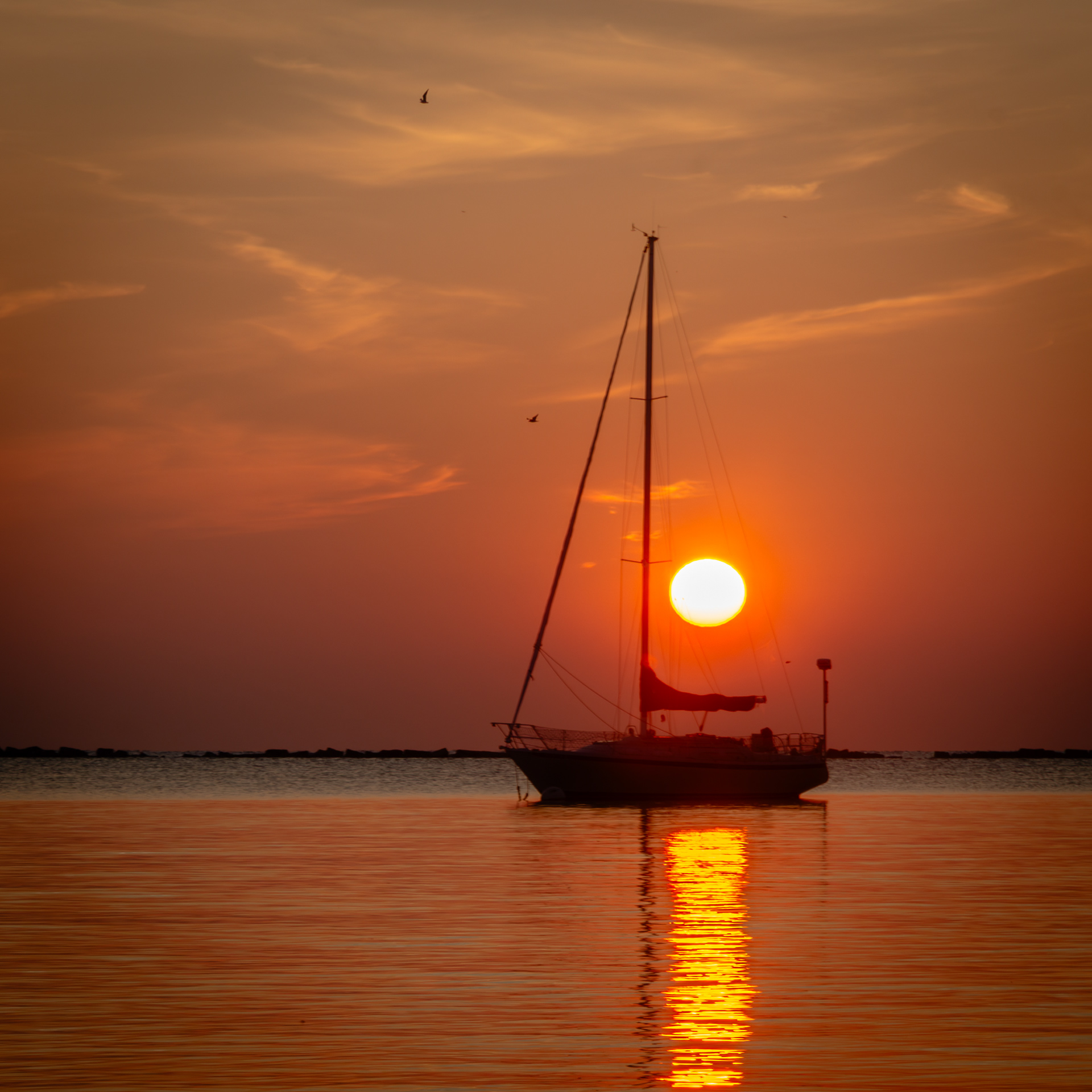 Morning Sail, Lake Michigan