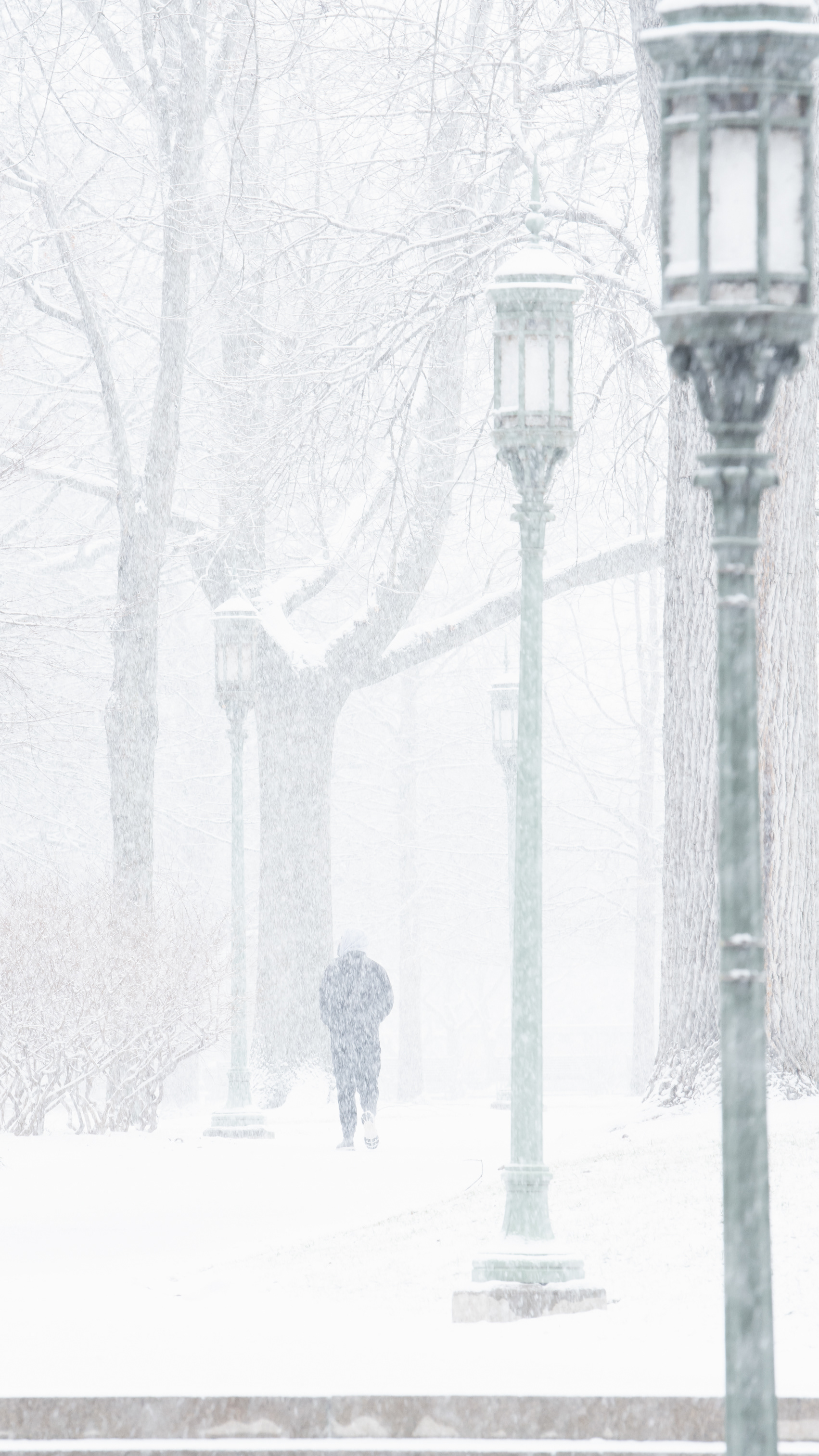 Winter Storm, Harrisburg, PA