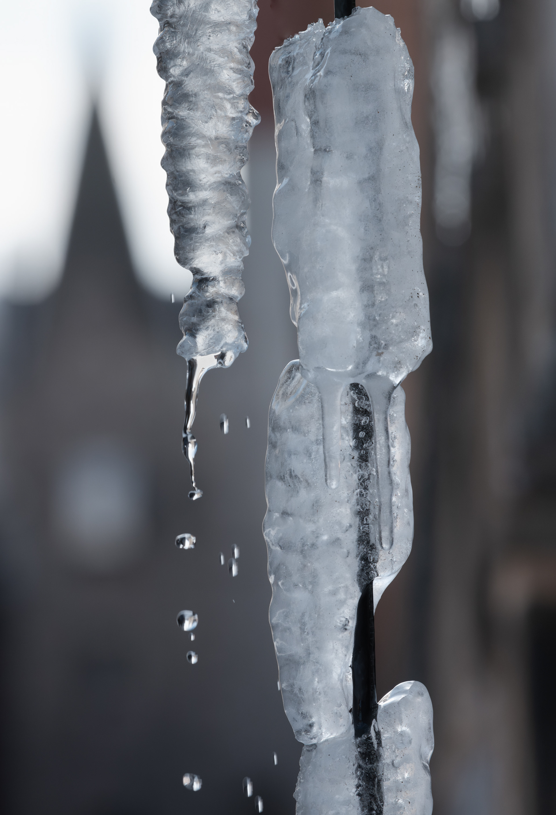 City Thaw
