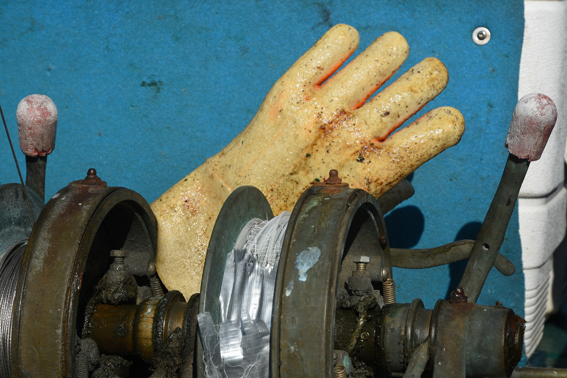 Hand Control, Inner Harbor, Victoria, BC
