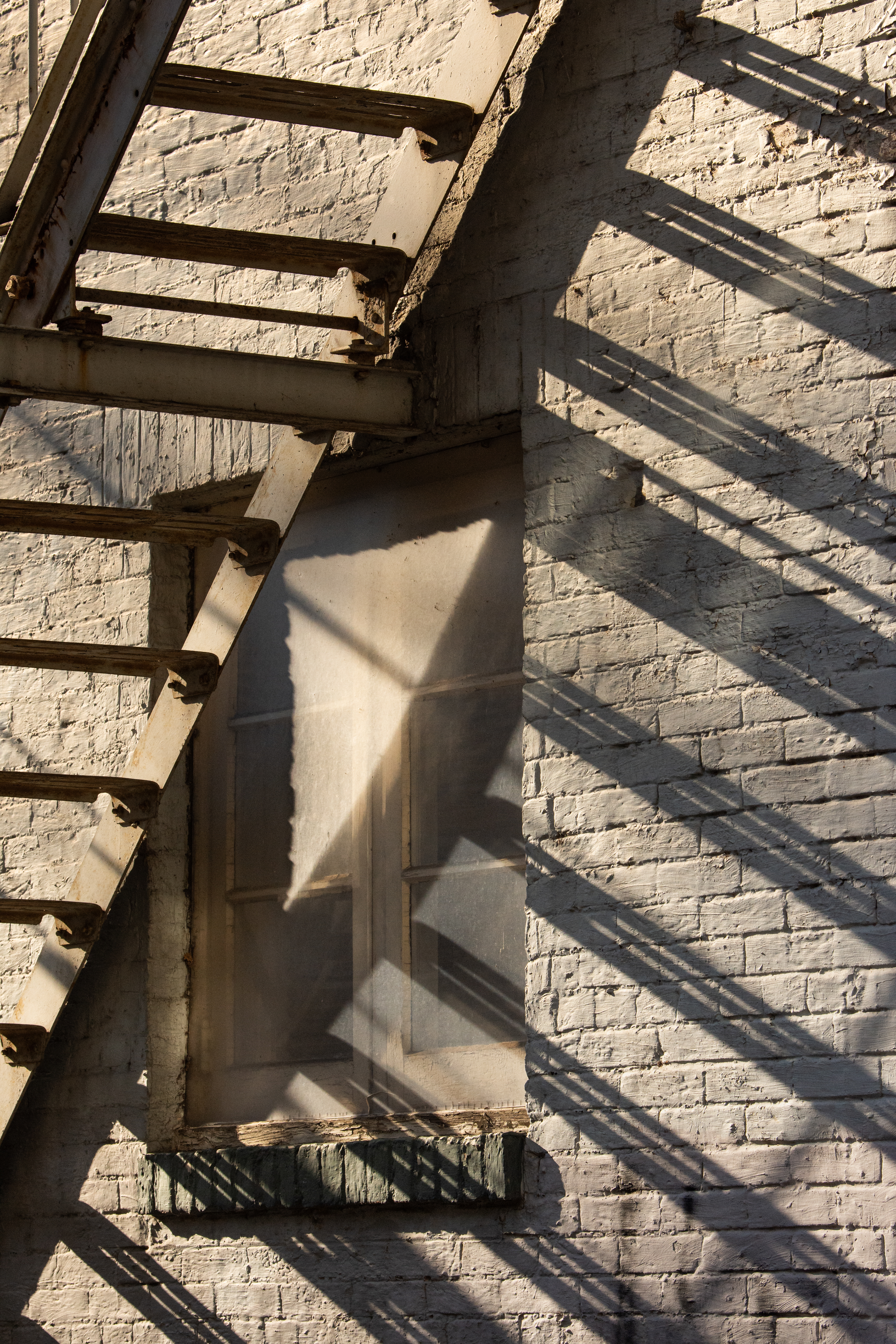 Window Light