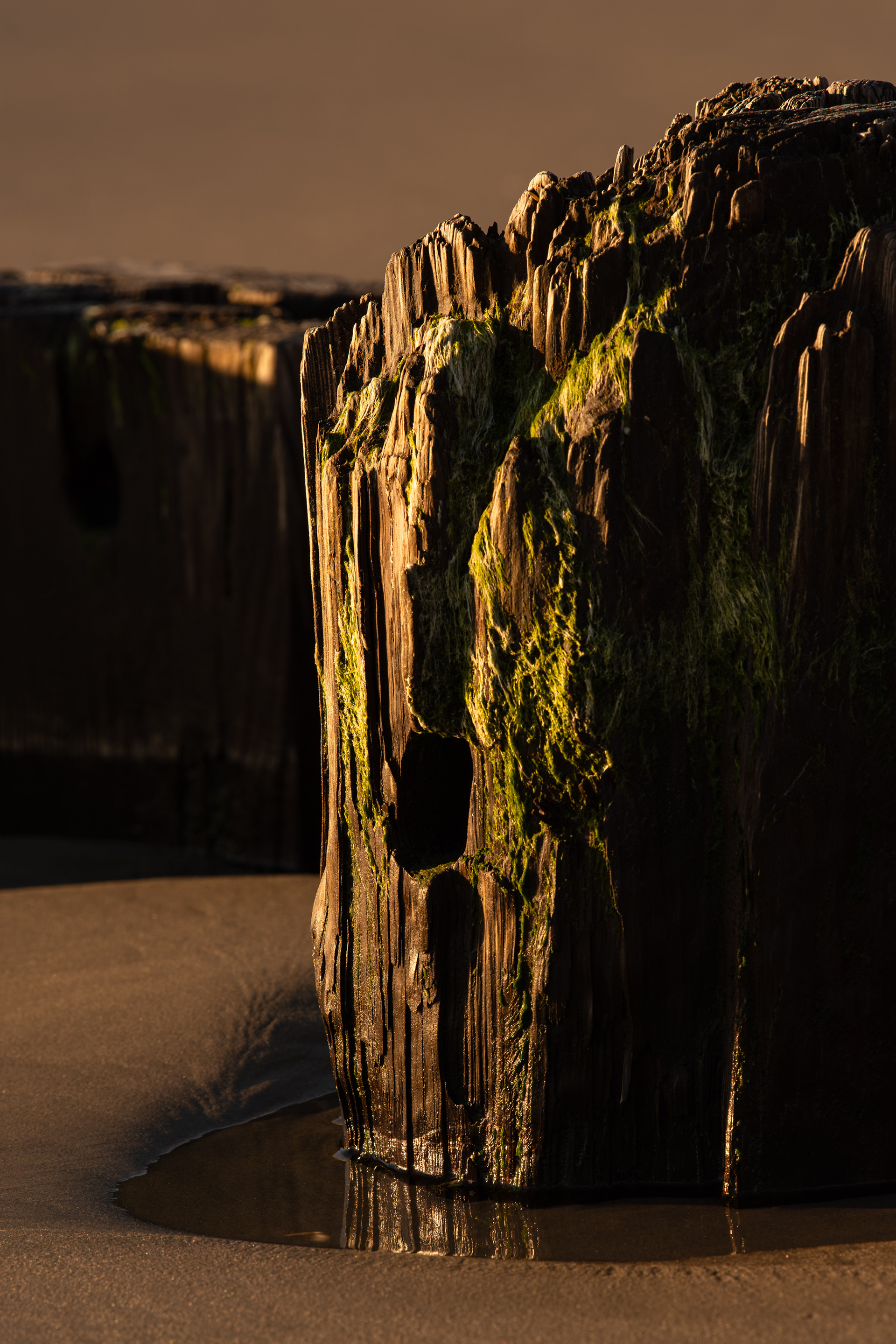 Naturally Carved