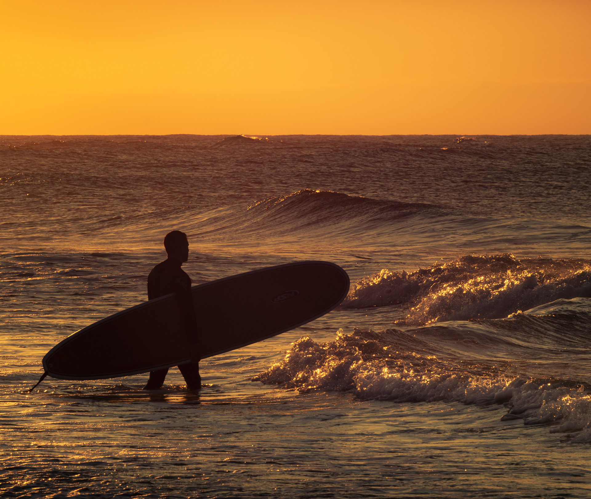 Surfer