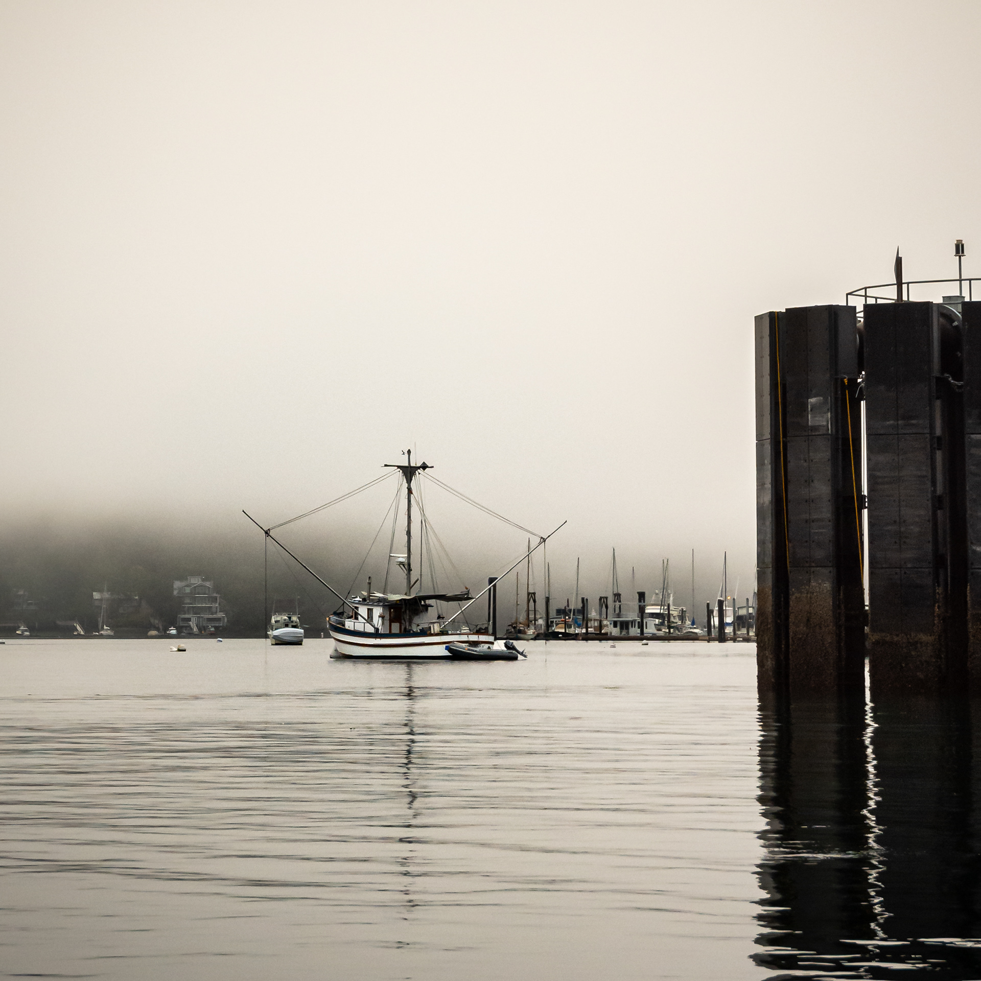 Friday Harbor, San Juan County, WA