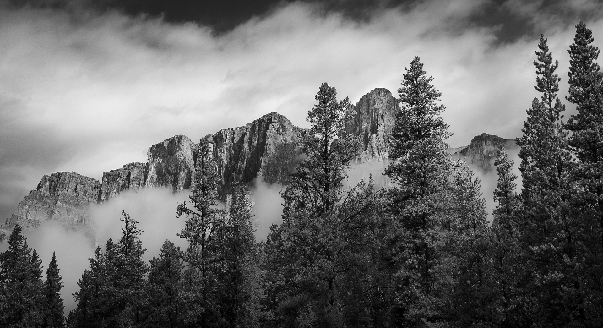 Tree Line - Banff National Park, Canada