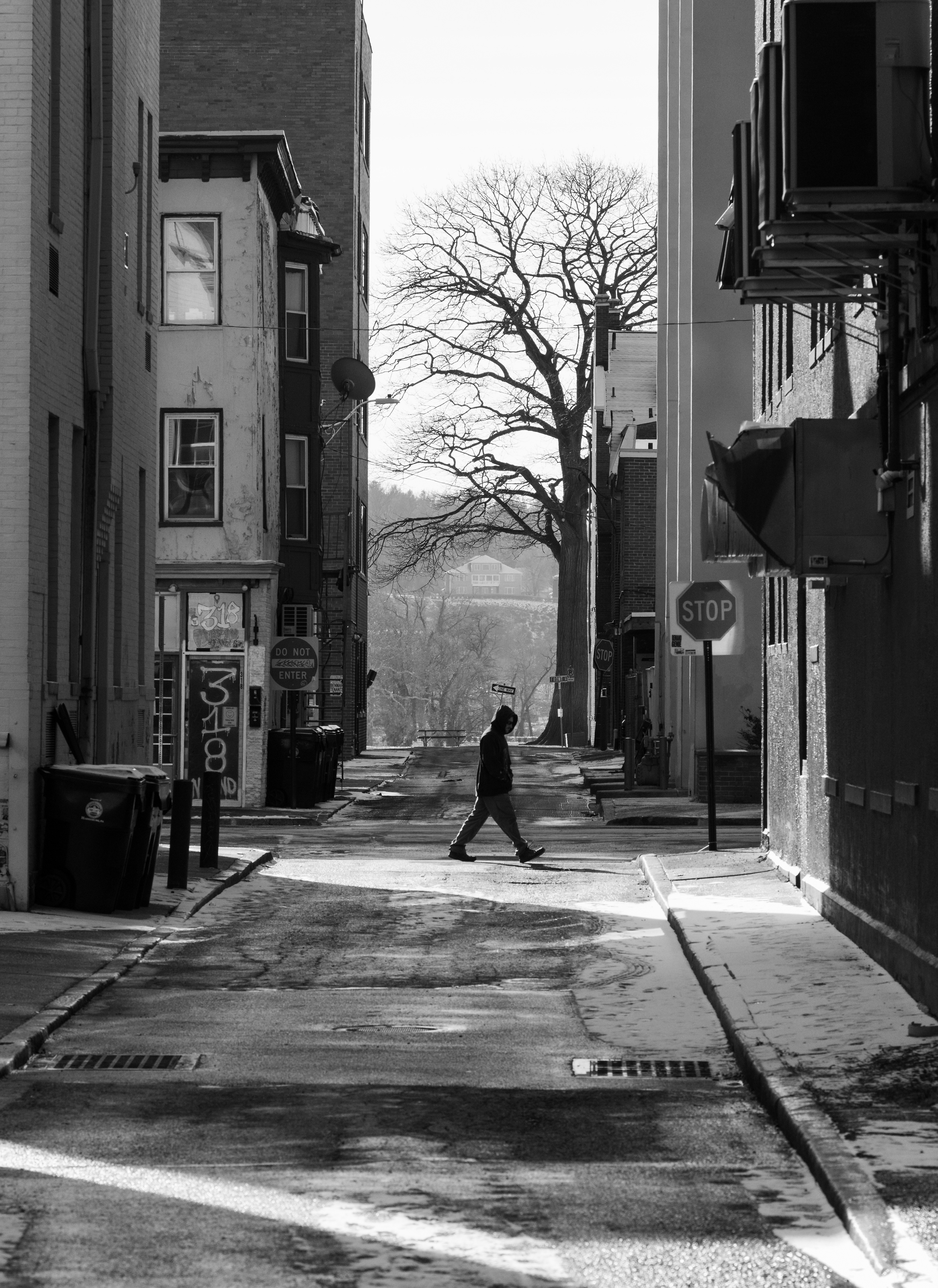 Solo Walker