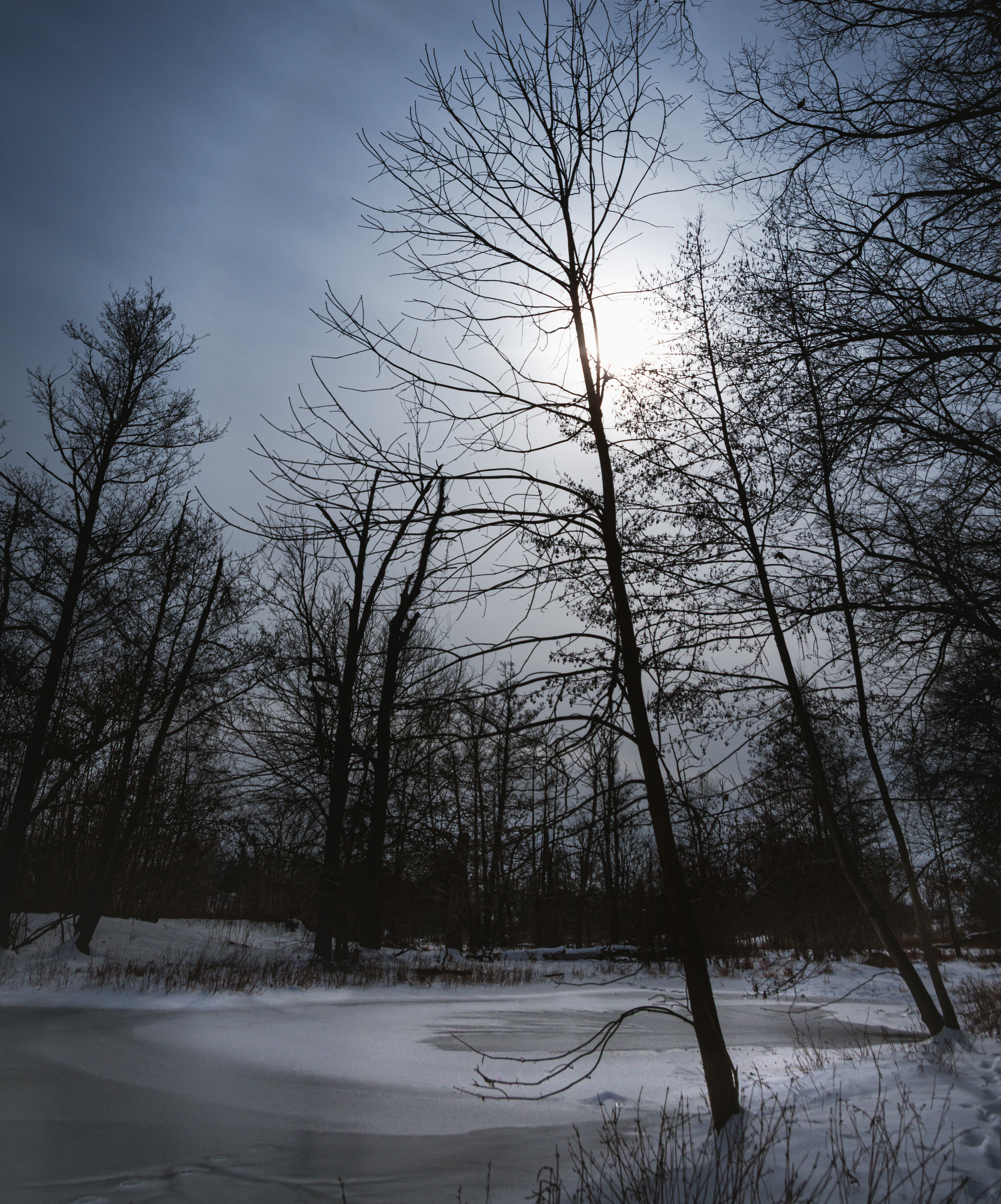 Frozen Pond