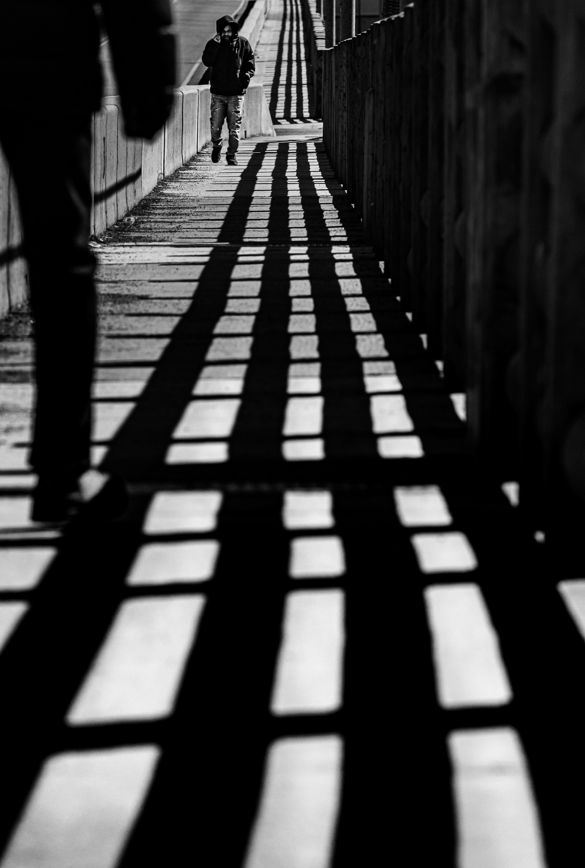 Walking the Fence 