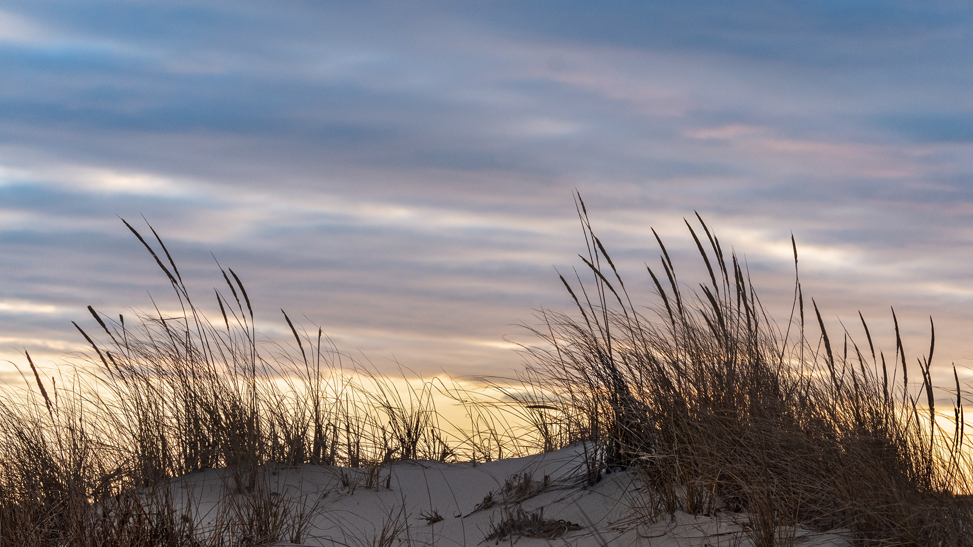 Dunes, Ocean City, NJ