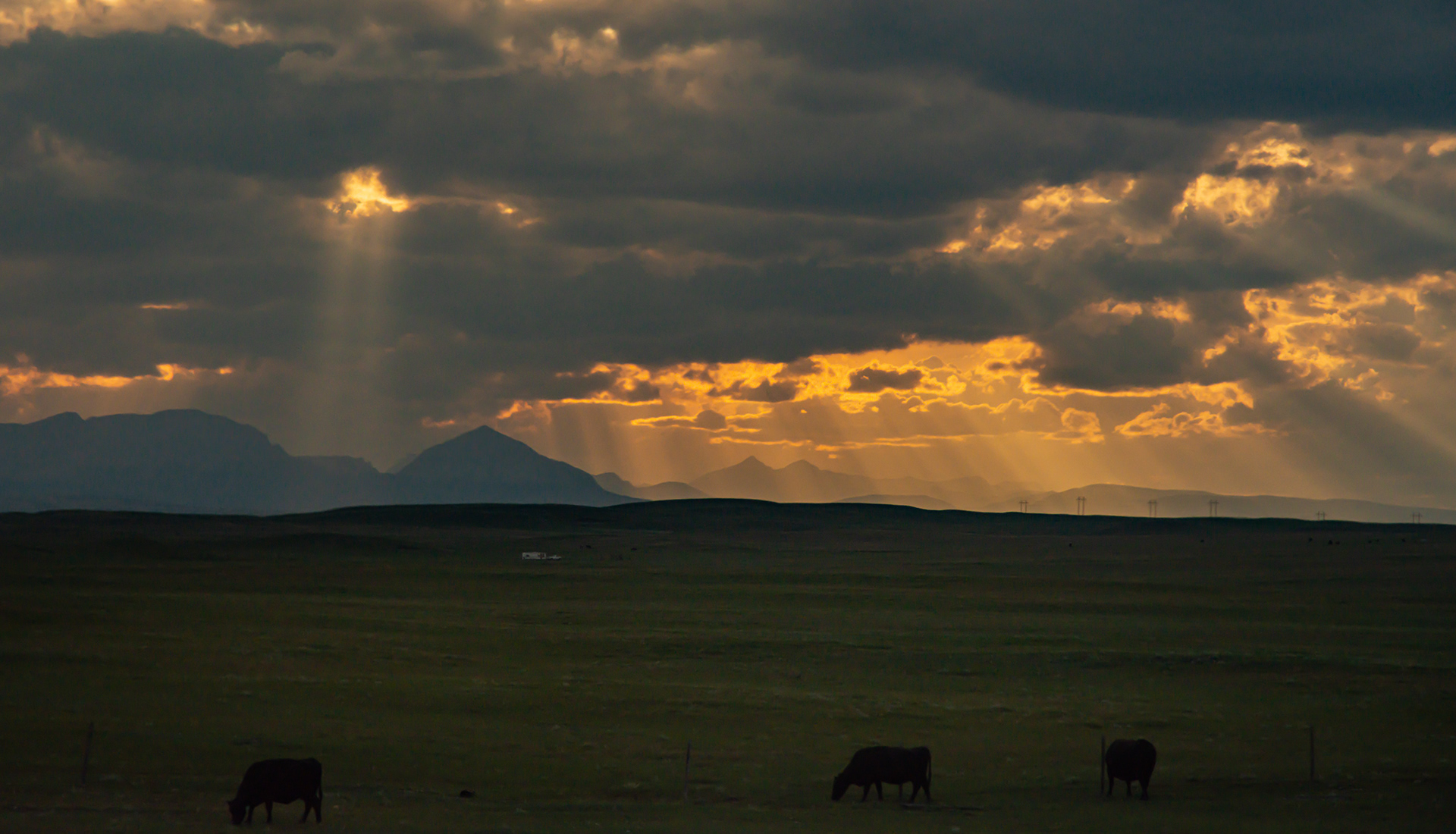 Rays - Western Montana 