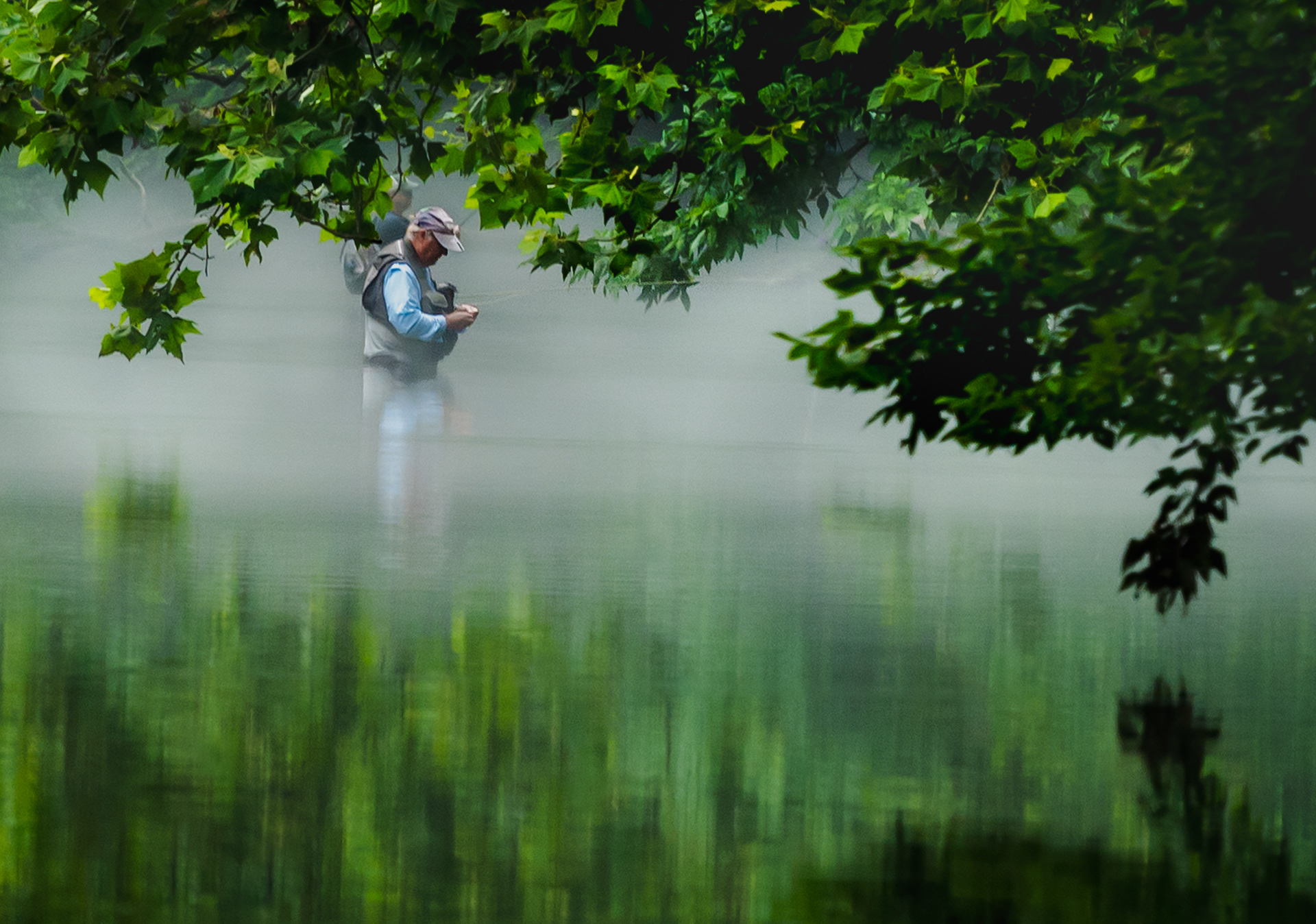 Fly-Fish Fog
